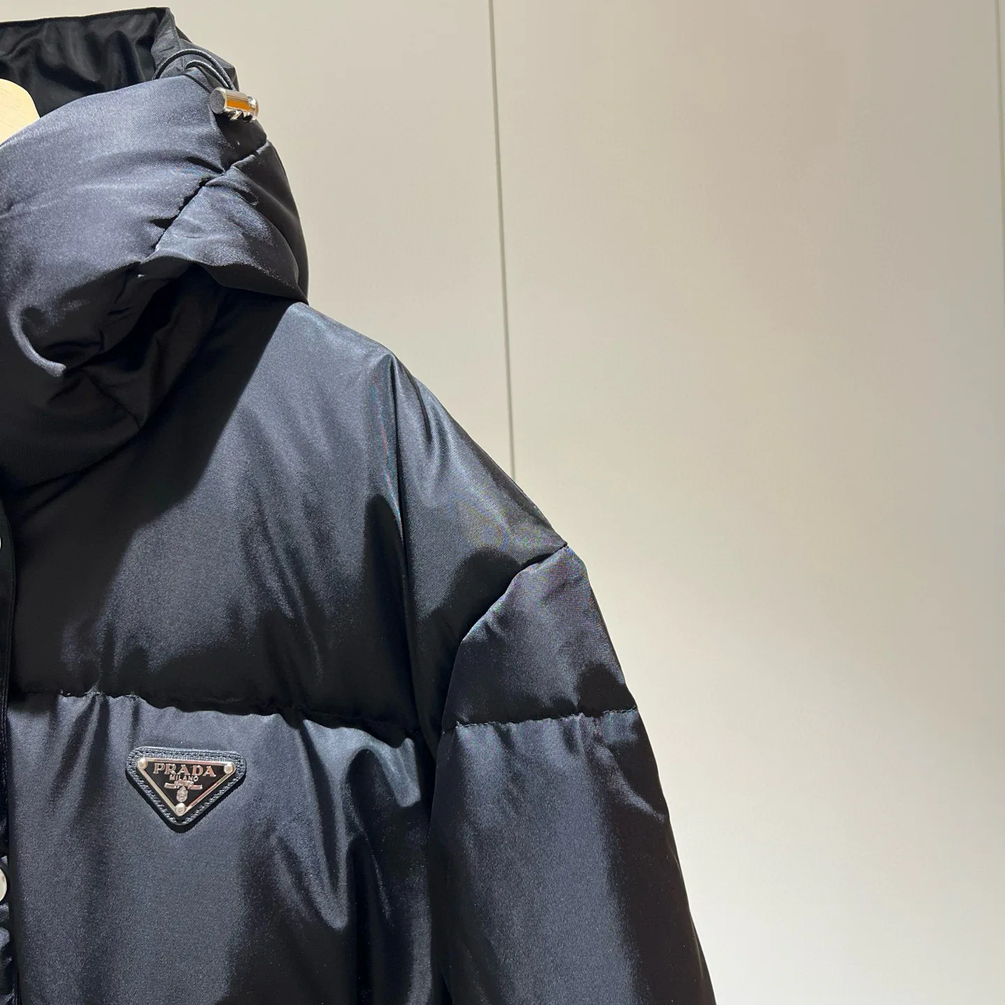 Куртки И Пуховики Женские Prada 18993994