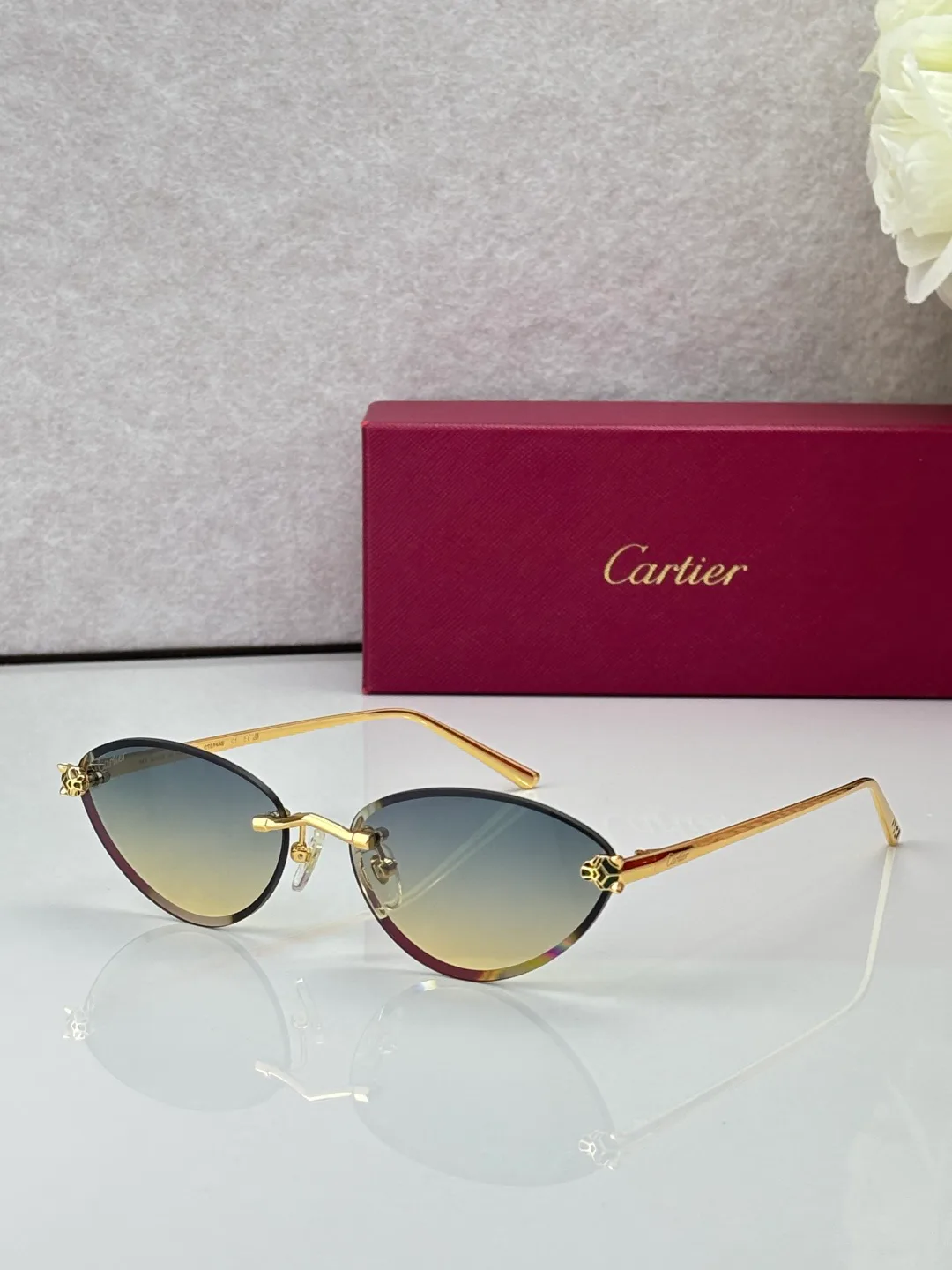 Очки Cartier 18441803