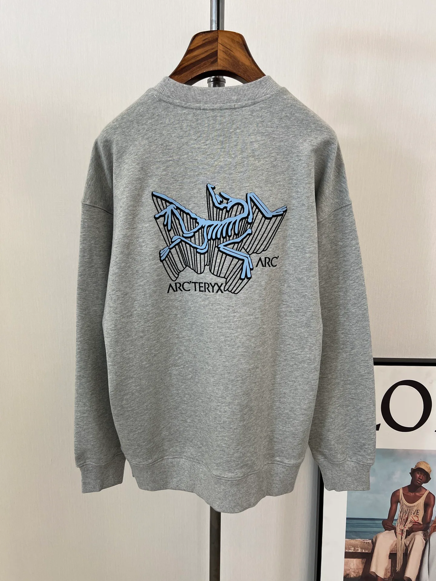 Свитшоты И Худи Мужские Arcteryx 18699486