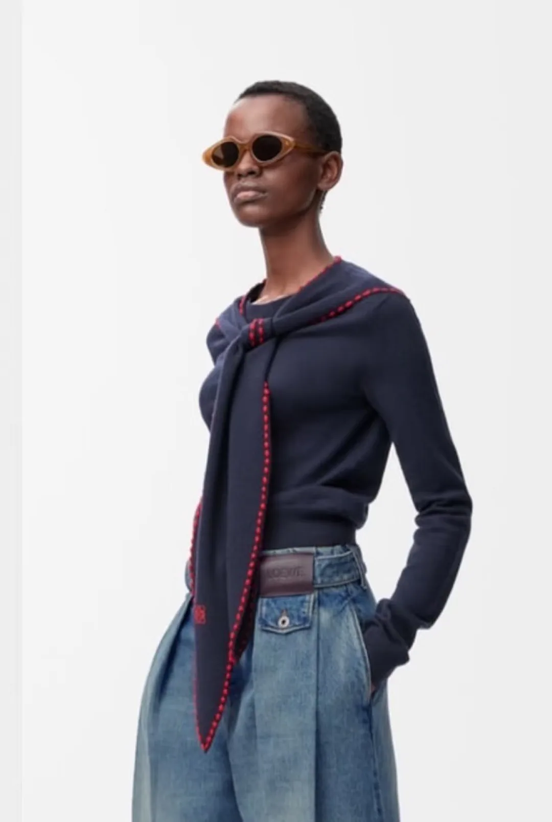 Очки Loewe 823322