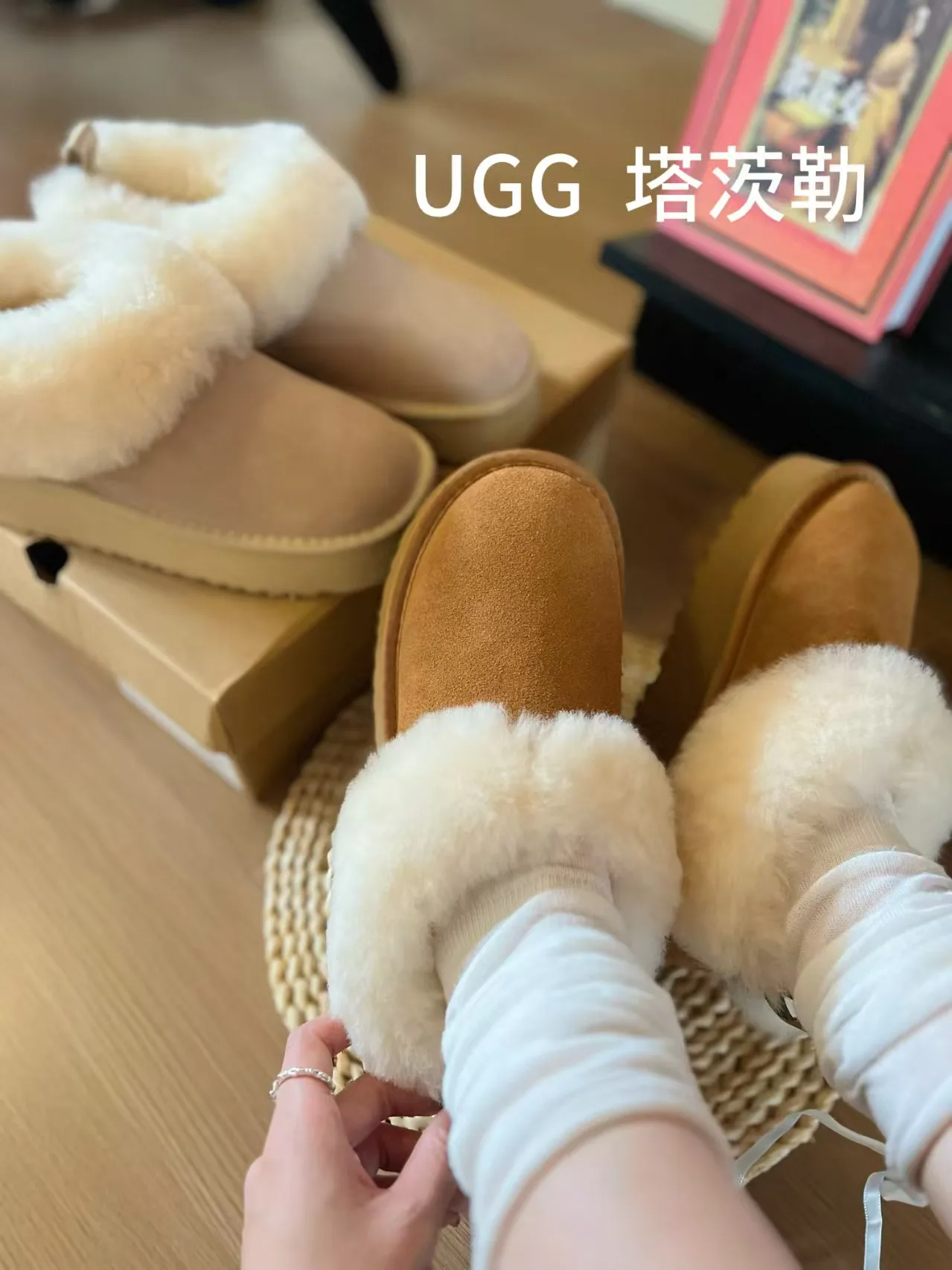 Угги Женские Ugg 5602677