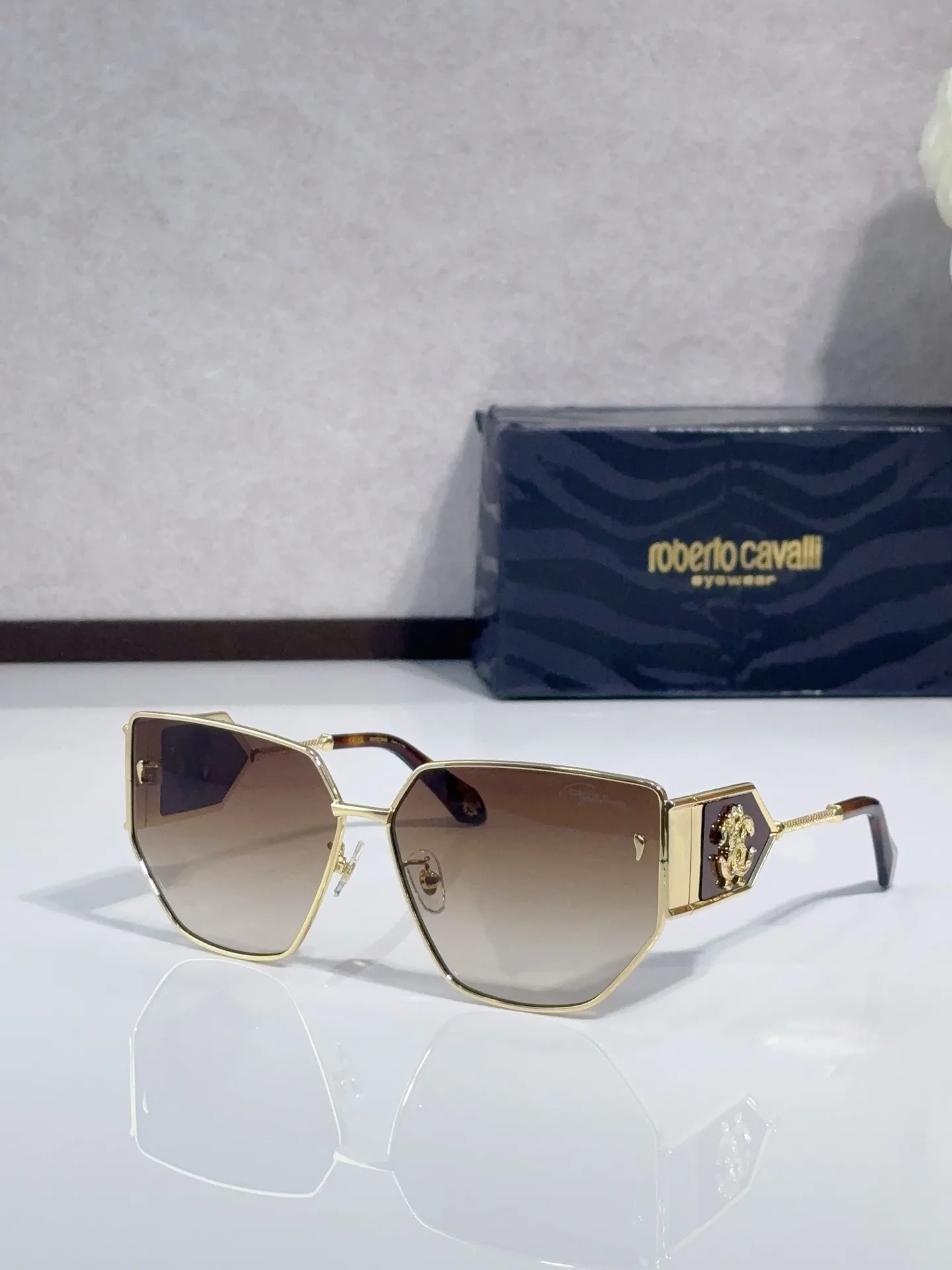 Очки Roberto Cavalli 18287044