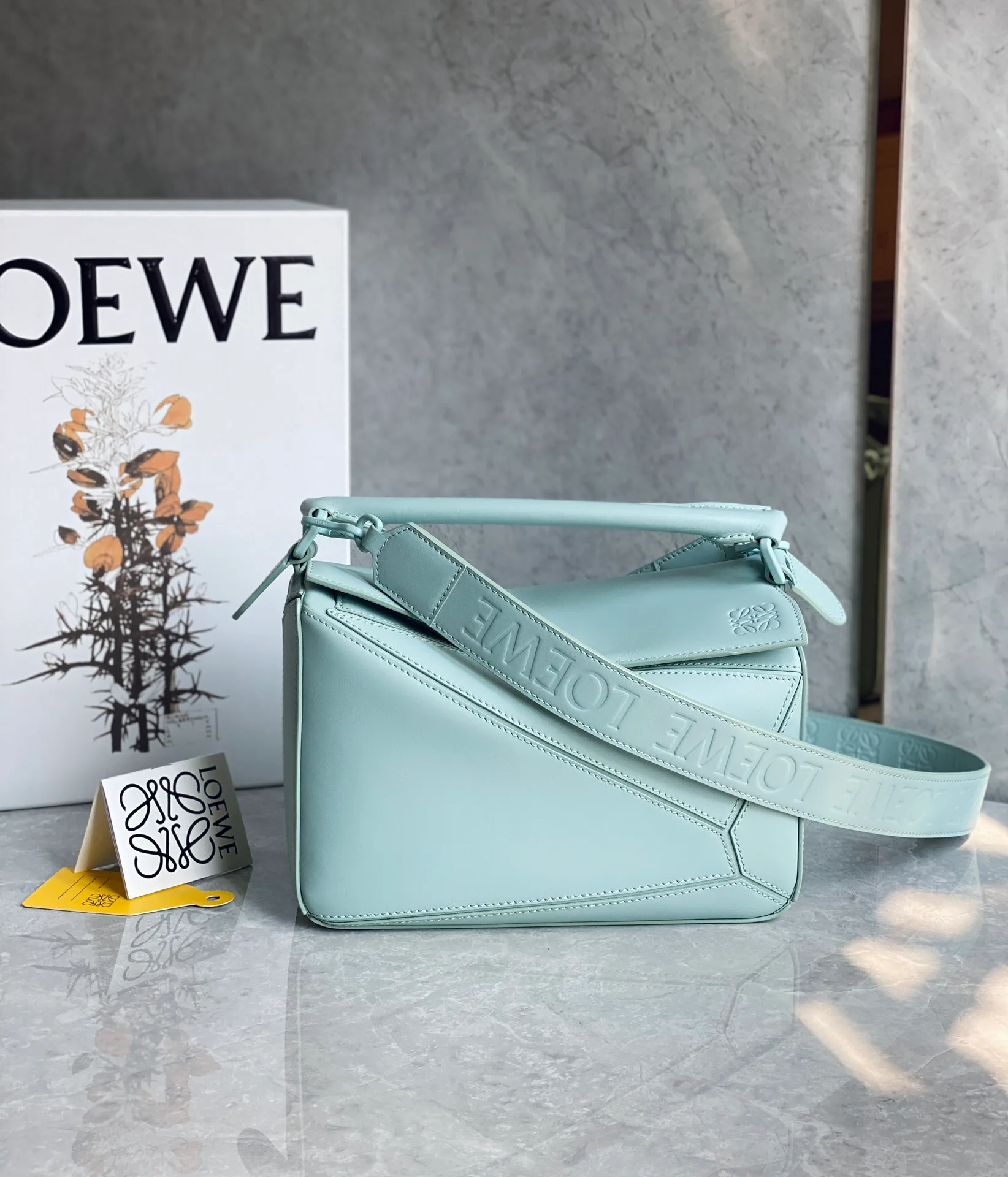 Классические Сумки Женские Loewe 10986854