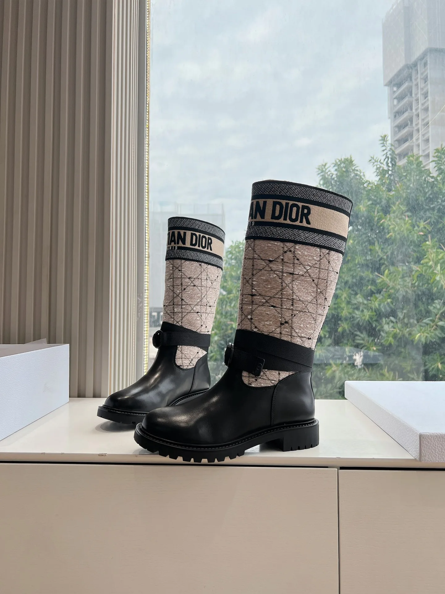 Сапоги Женские Christian Dior 50753