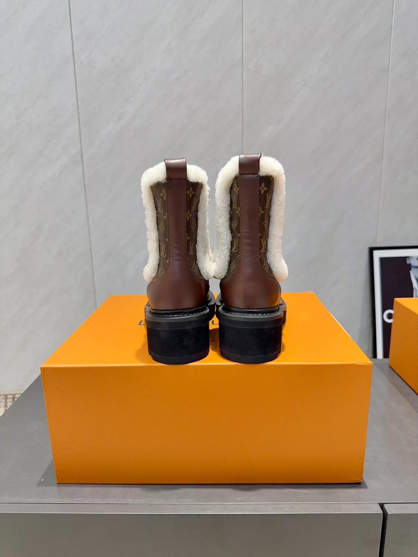 Ботинки Женские Louis Vuitton 244136