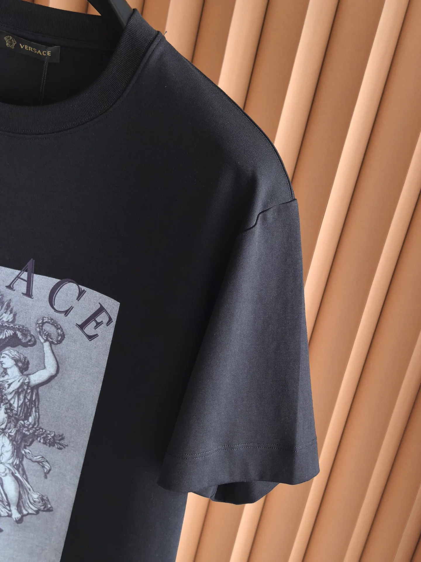 Футболки Мужские Versace 10210022