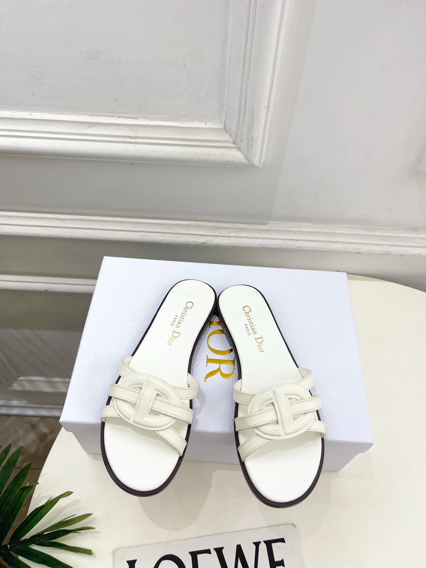 Туфли Женские Christian Dior 12601461