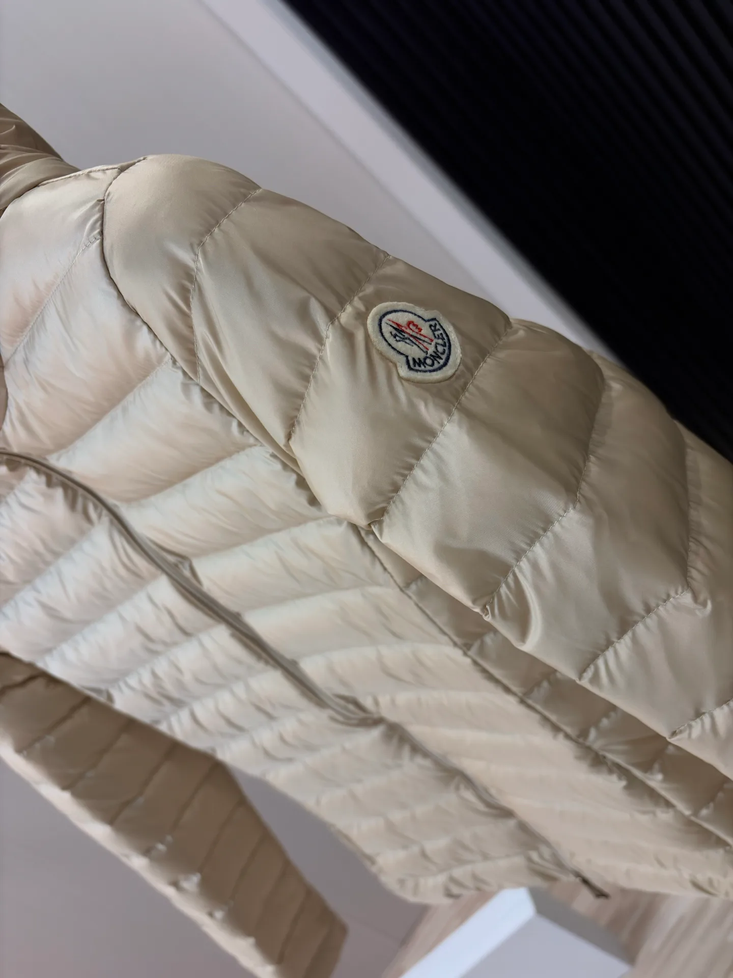 Куртки И Пуховики Мужские Moncler 18231134