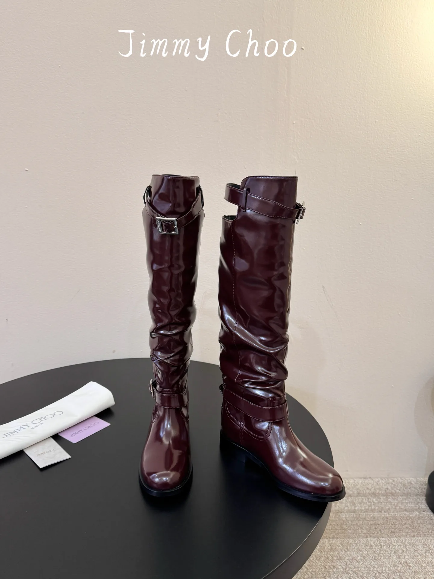 Сапоги Женские Jimmy Choo 19763905