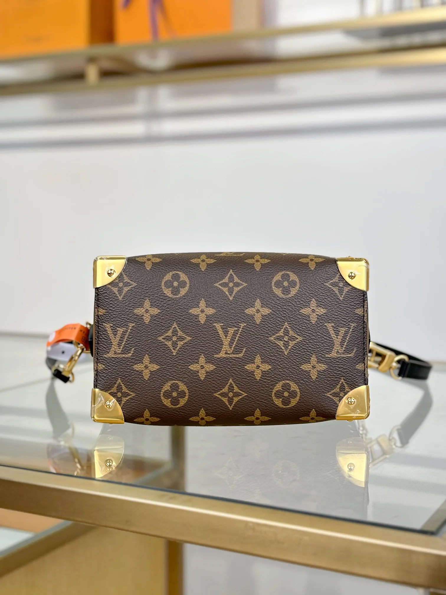 Классические Сумки Женские Louis Vuitton 17526839