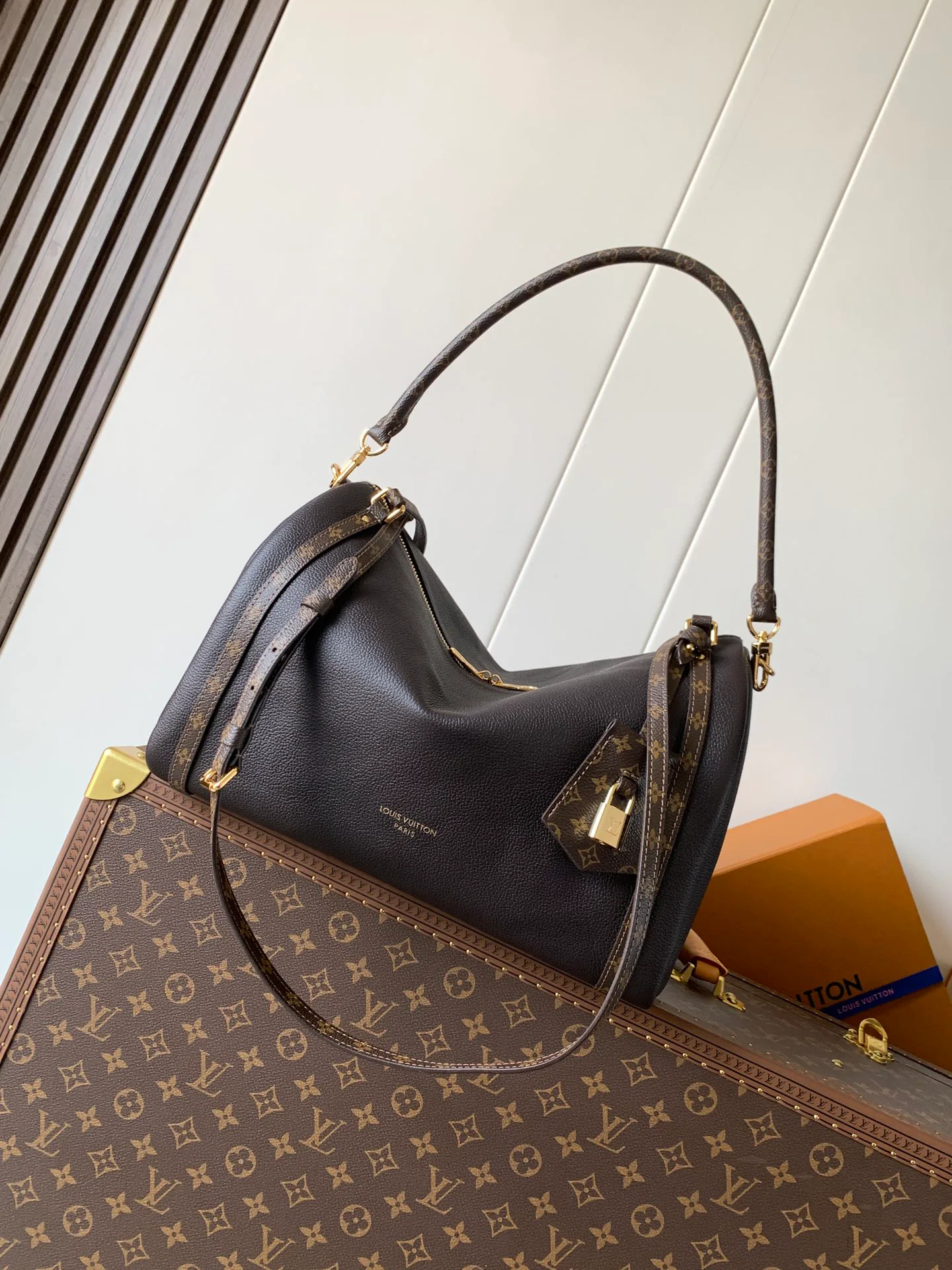 Классические Сумки Женские Louis Vuitton 11545829