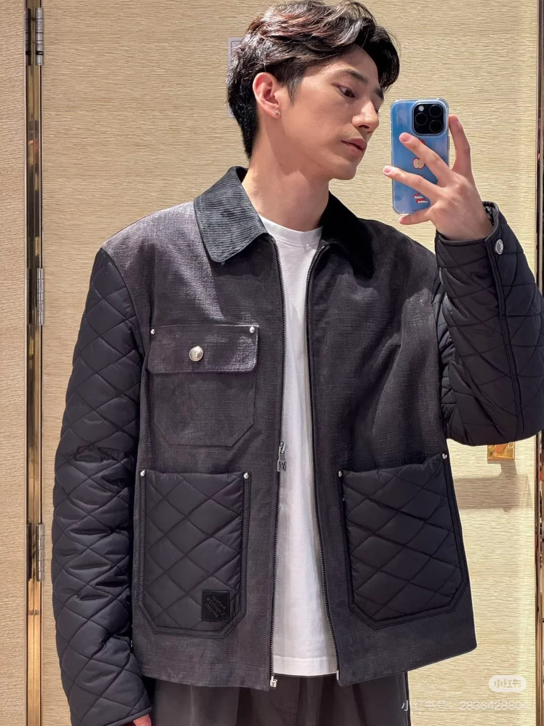 Куртки И Пуховики Мужские Louis Vuitton 852223