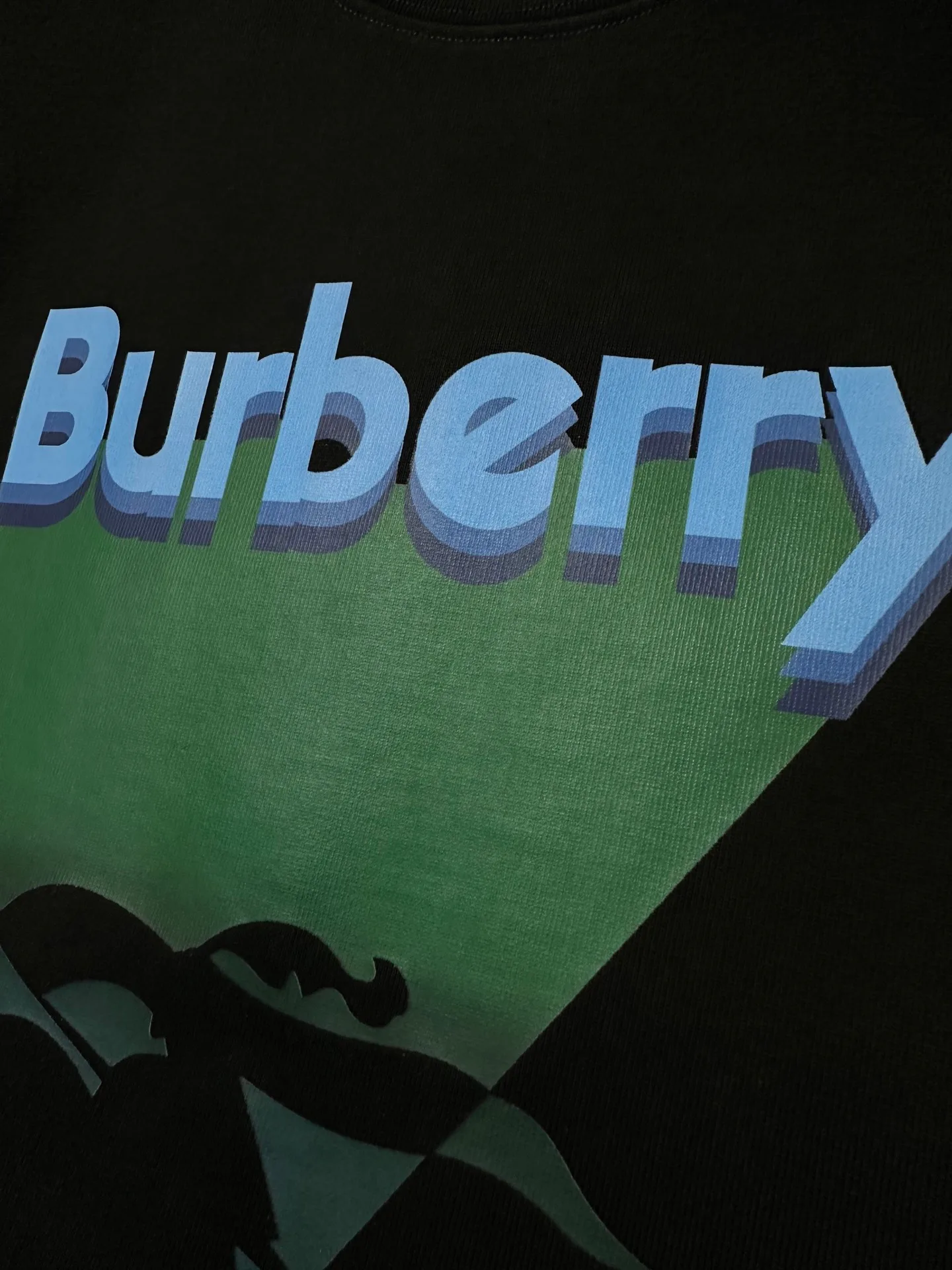 Футболки Мужские Burberry 14121898