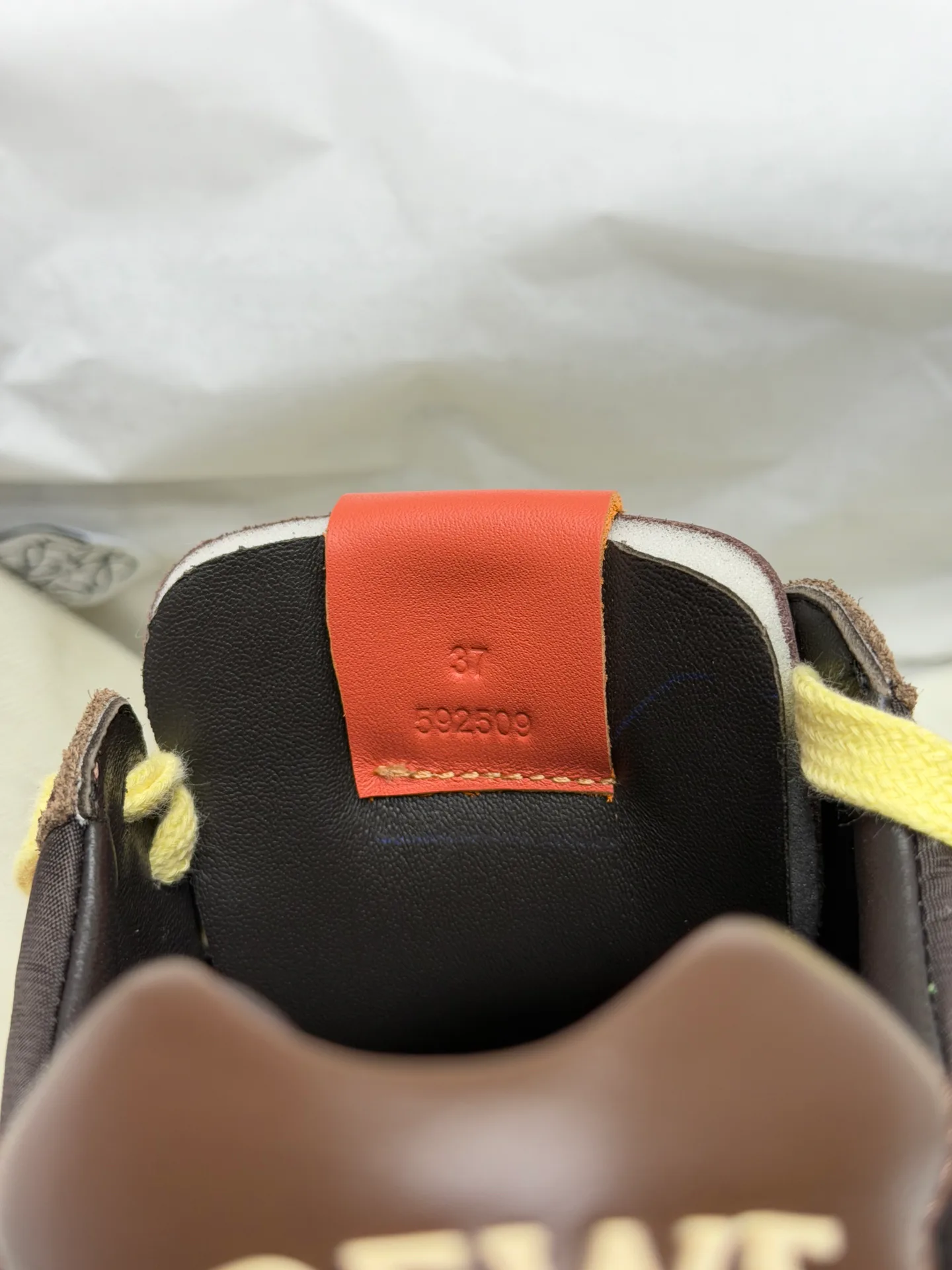 Кроссовки Женские Loewe 18191790