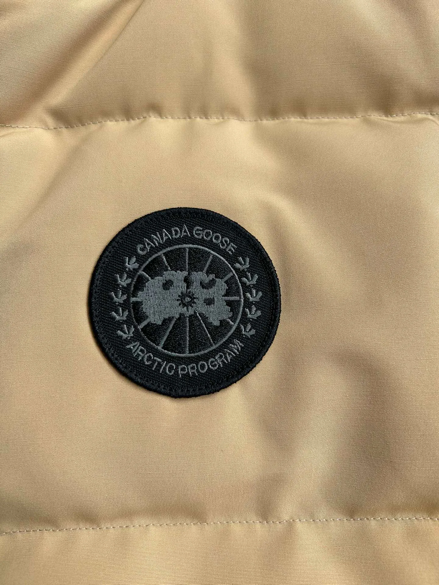 Жилеты Женские The North Face Жилеты Женские The North Face