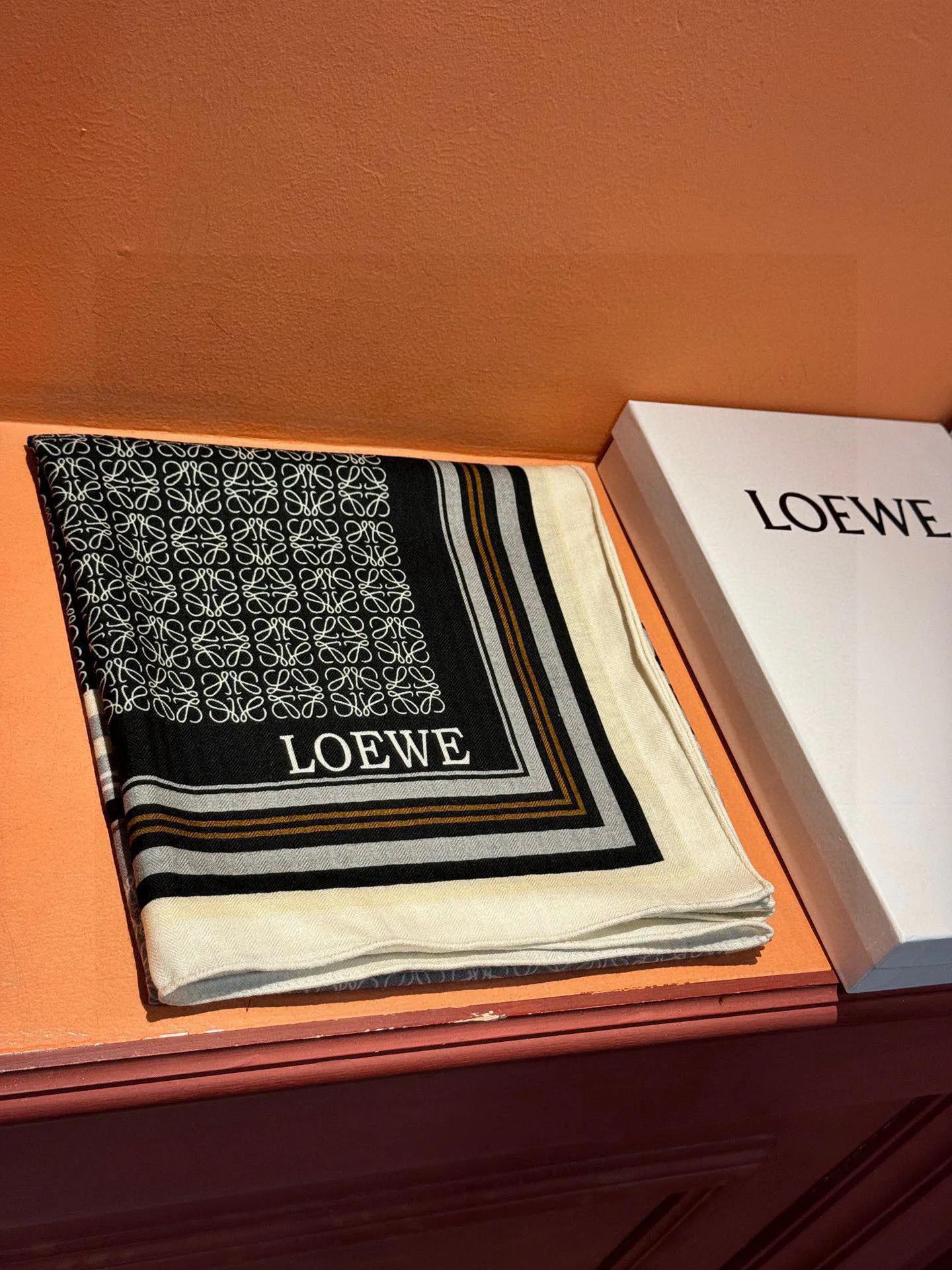 Шарфы Loewe 262373