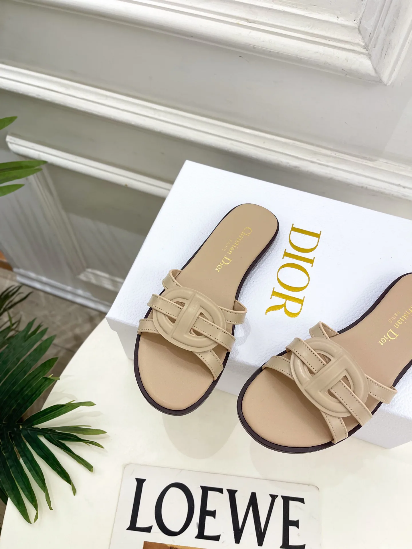 Туфли Женские Christian Dior 12601459