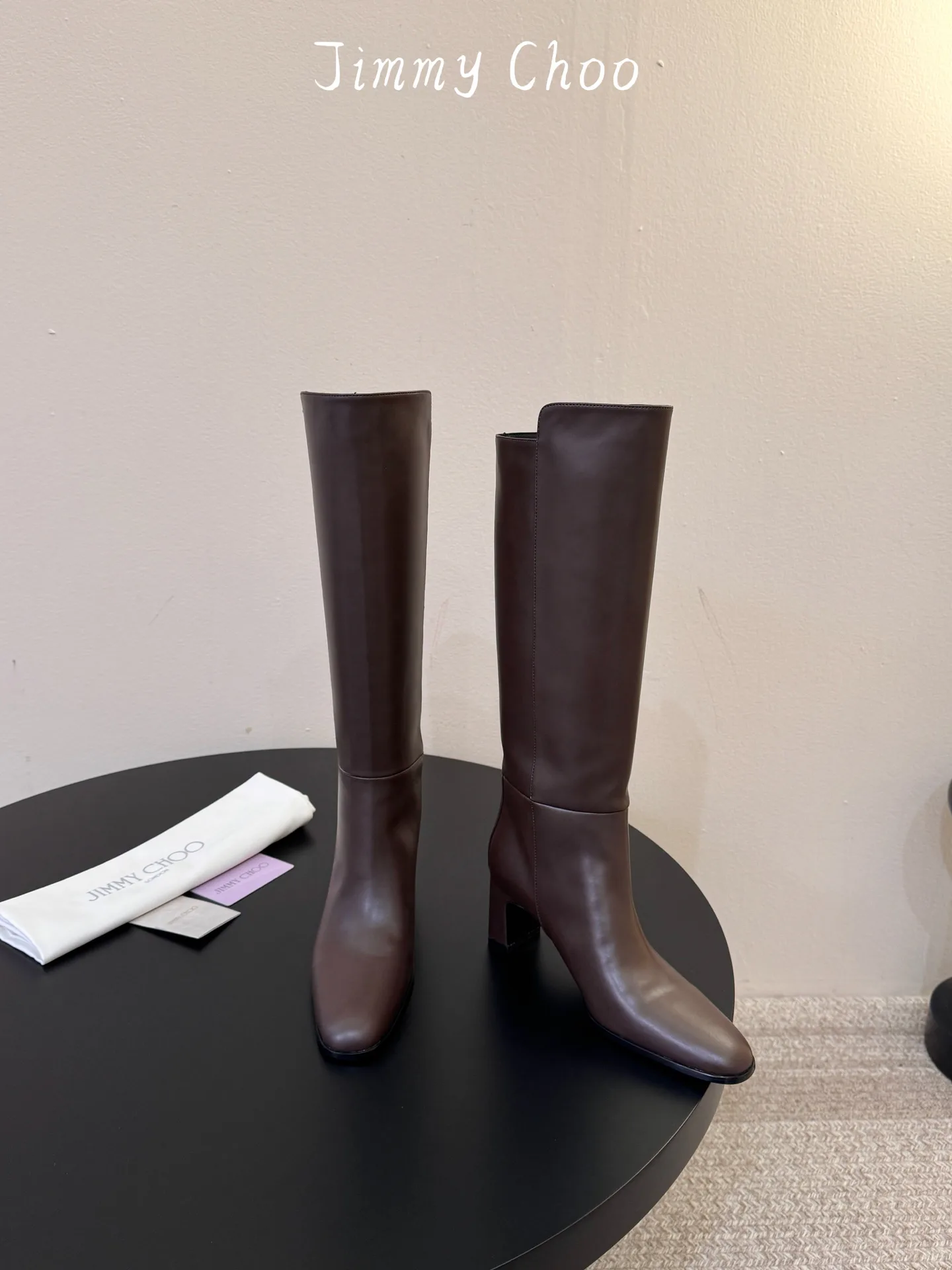 Сапоги Женские Jimmy Choo 18997157