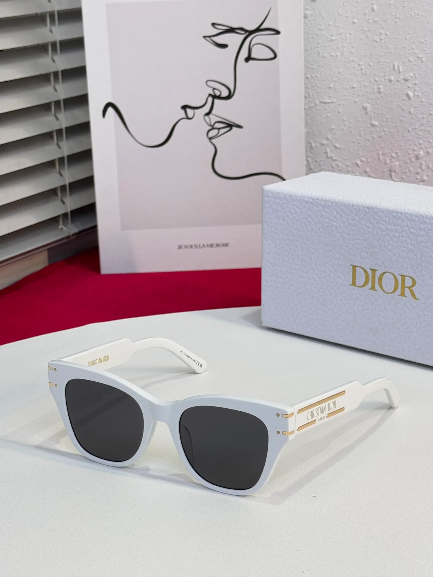 Очки Christian Dior 17458