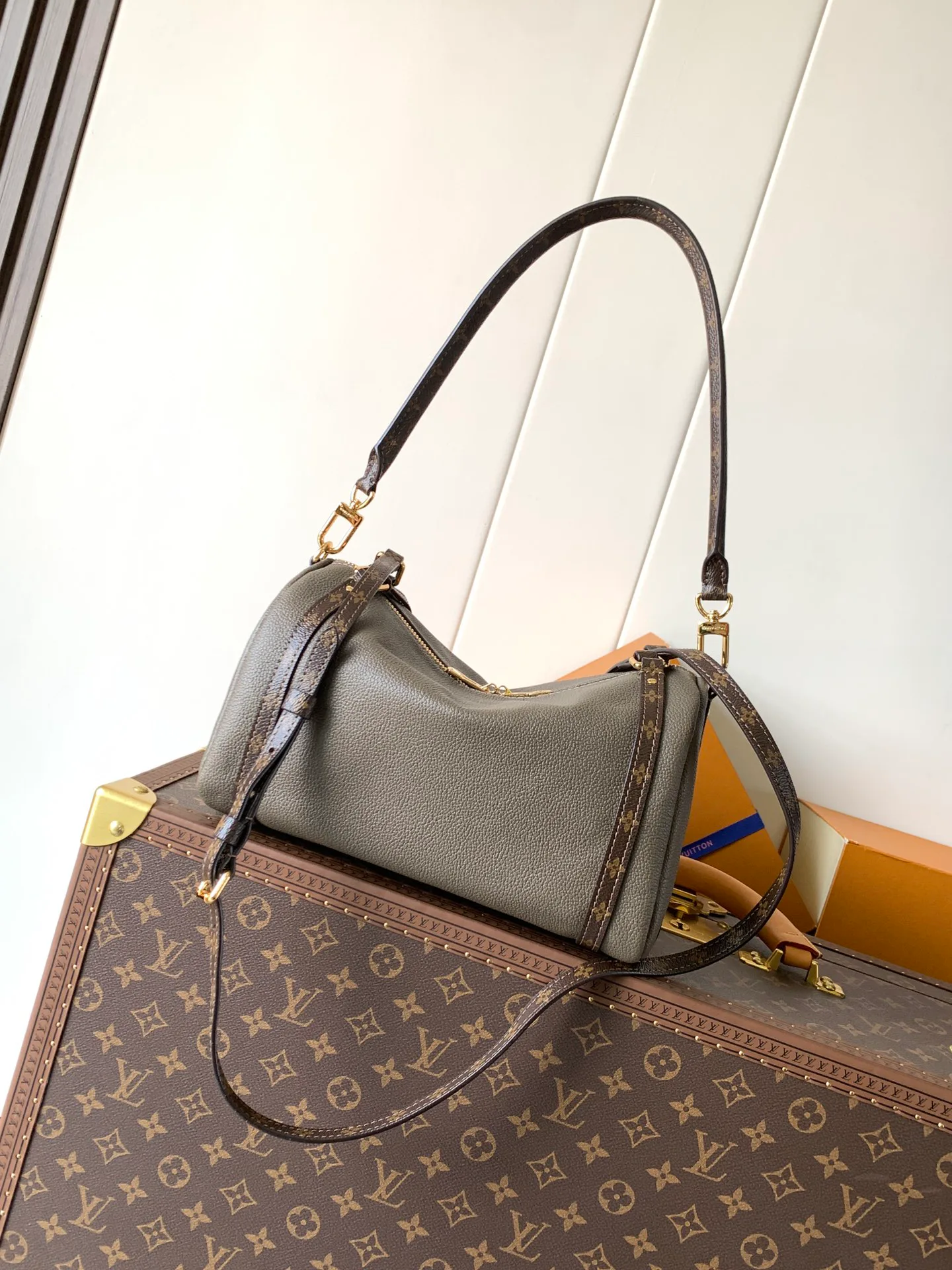 Классические Сумки Женские Louis Vuitton 11394899