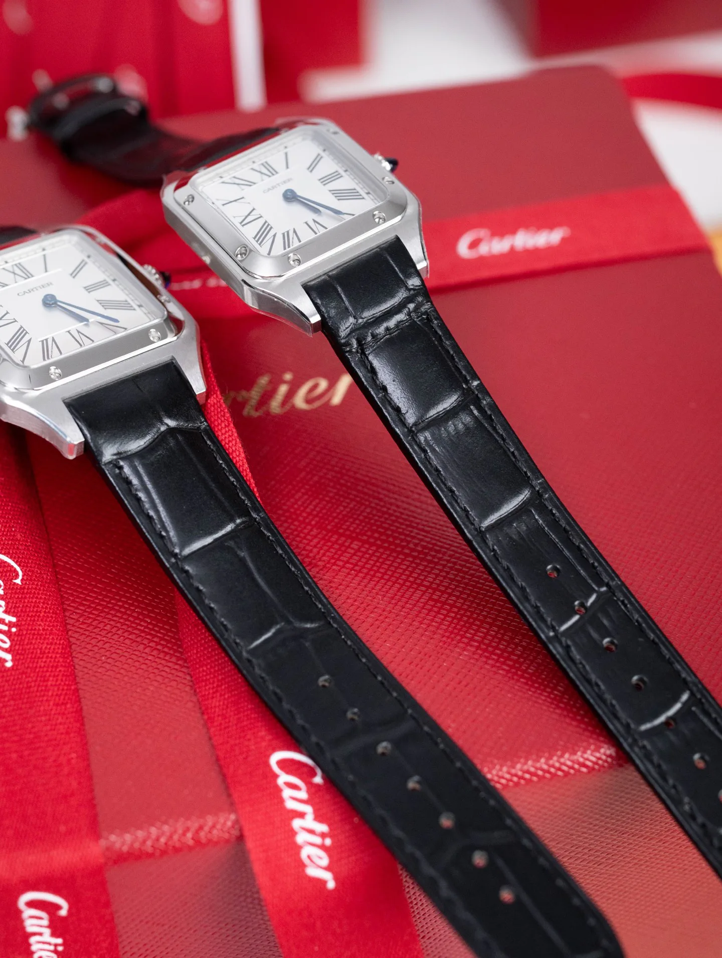 Часы Женские Cartier 1291634