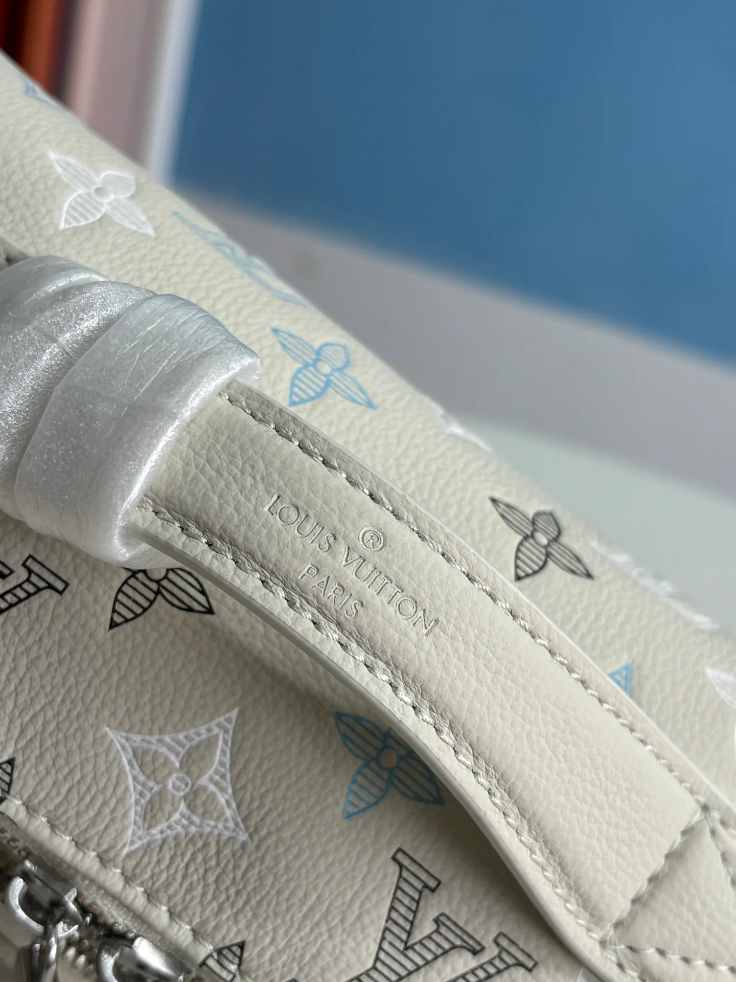 Поясные Сумки Мужские Louis Vuitton 13866475