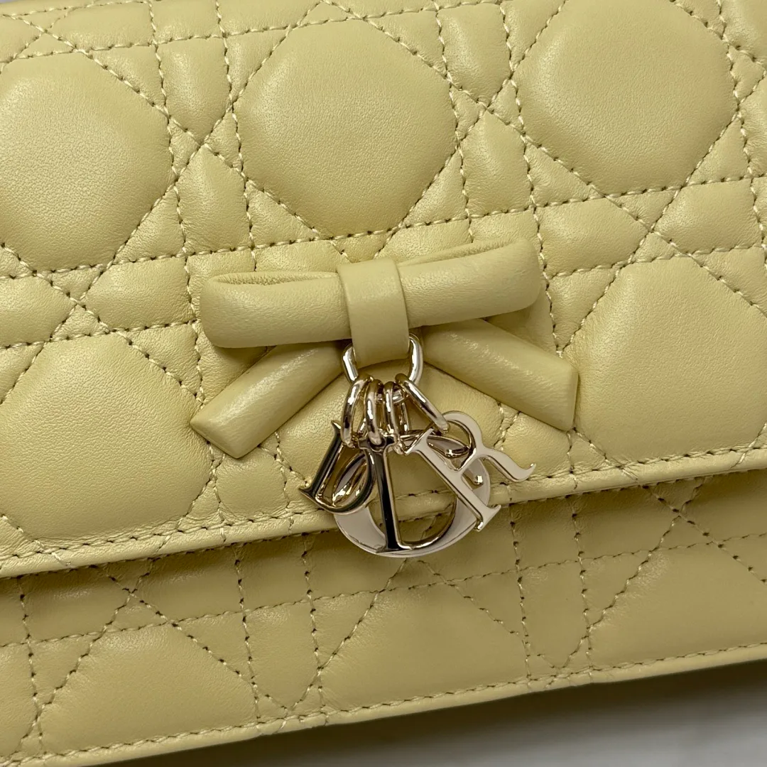 Классические Сумки Женские Christian Dior 18116379