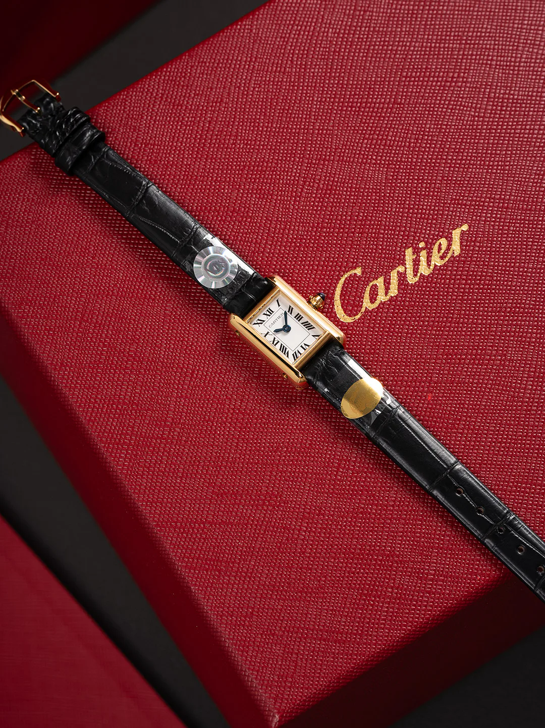 Часы Женские Cartier 17860466