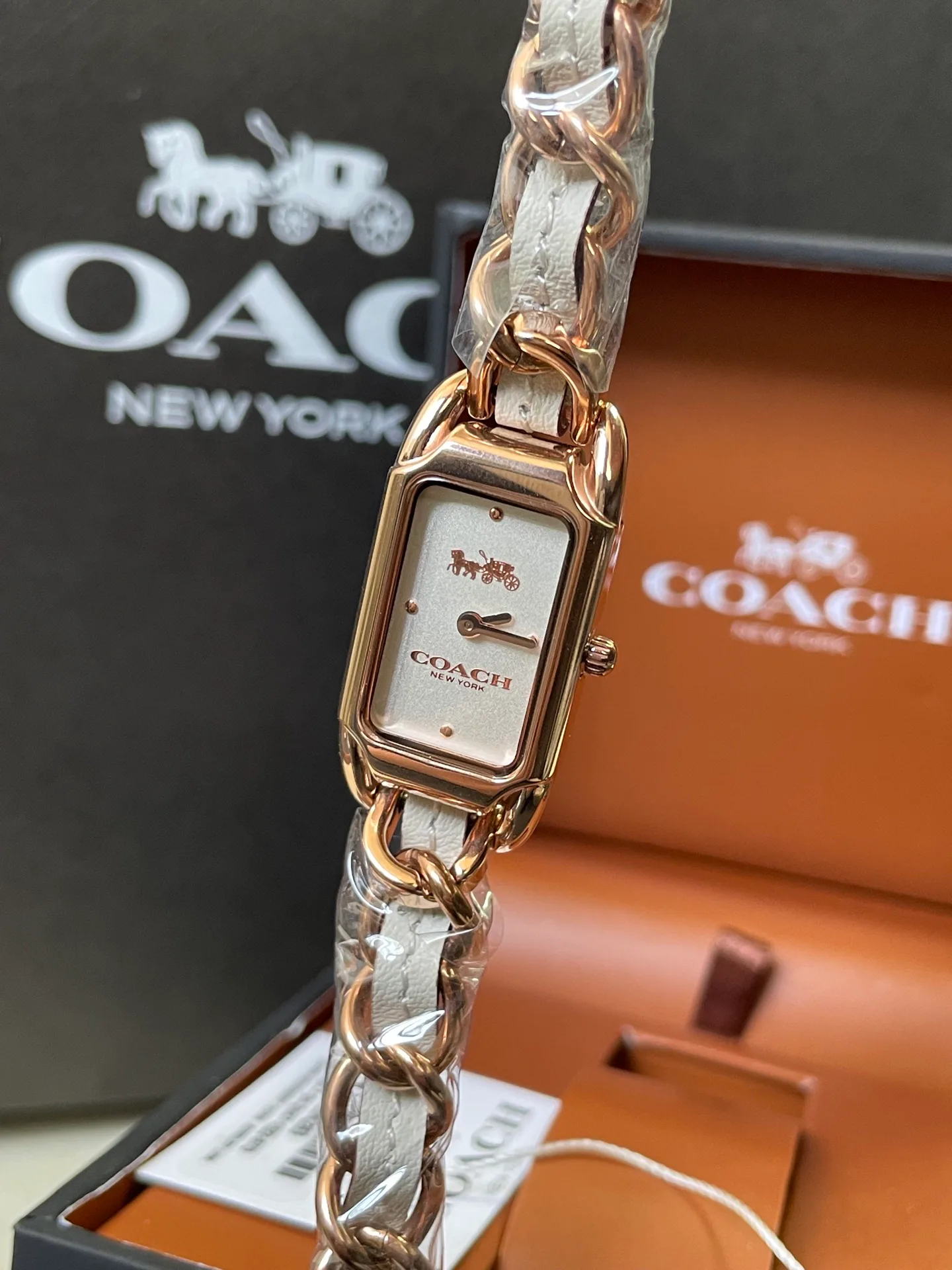 Часы Женские Coach 11603766