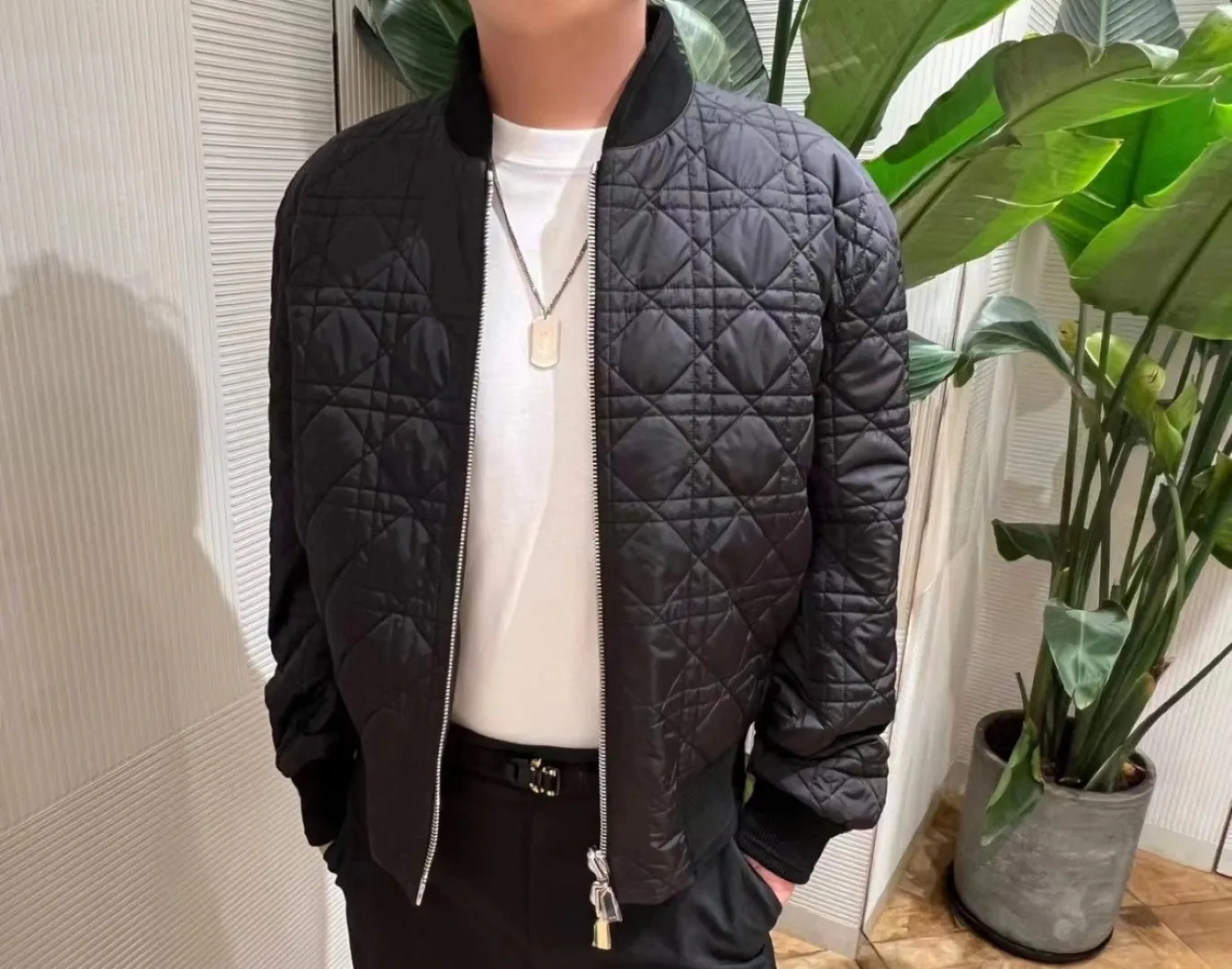 Куртки И Пуховики Мужские Christian Dior 1270780