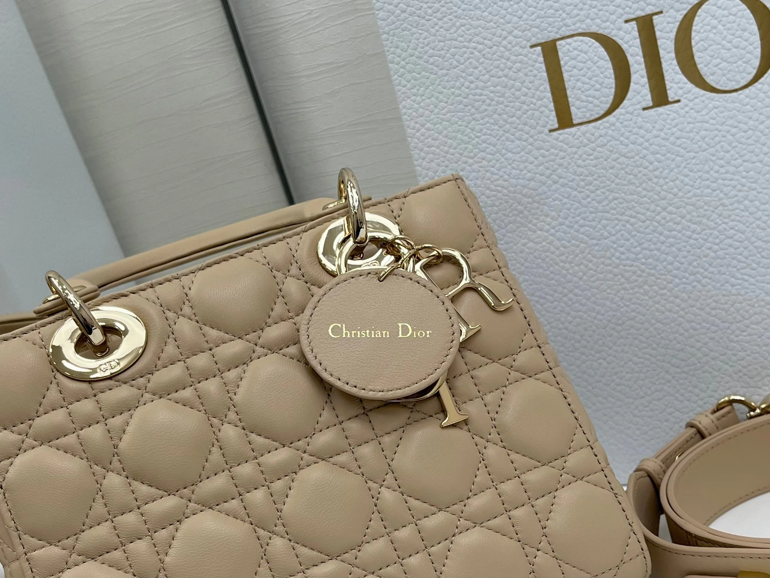 Сумки На Ремне Женские Christian Dior 565876
