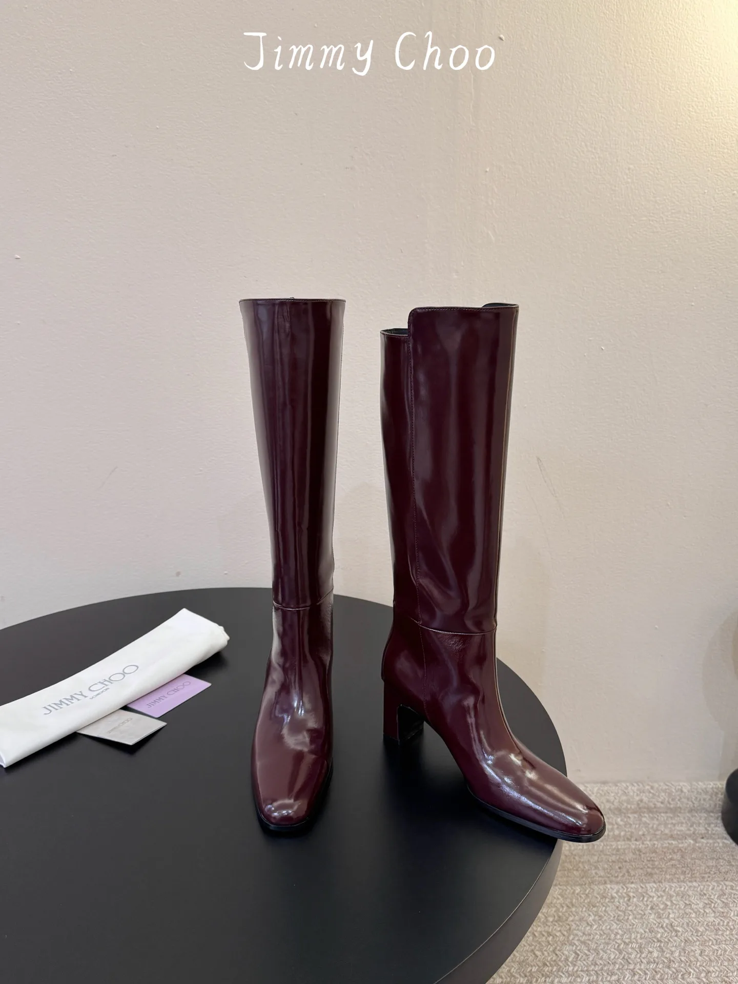 Сапоги Женские Jimmy Choo 18830355