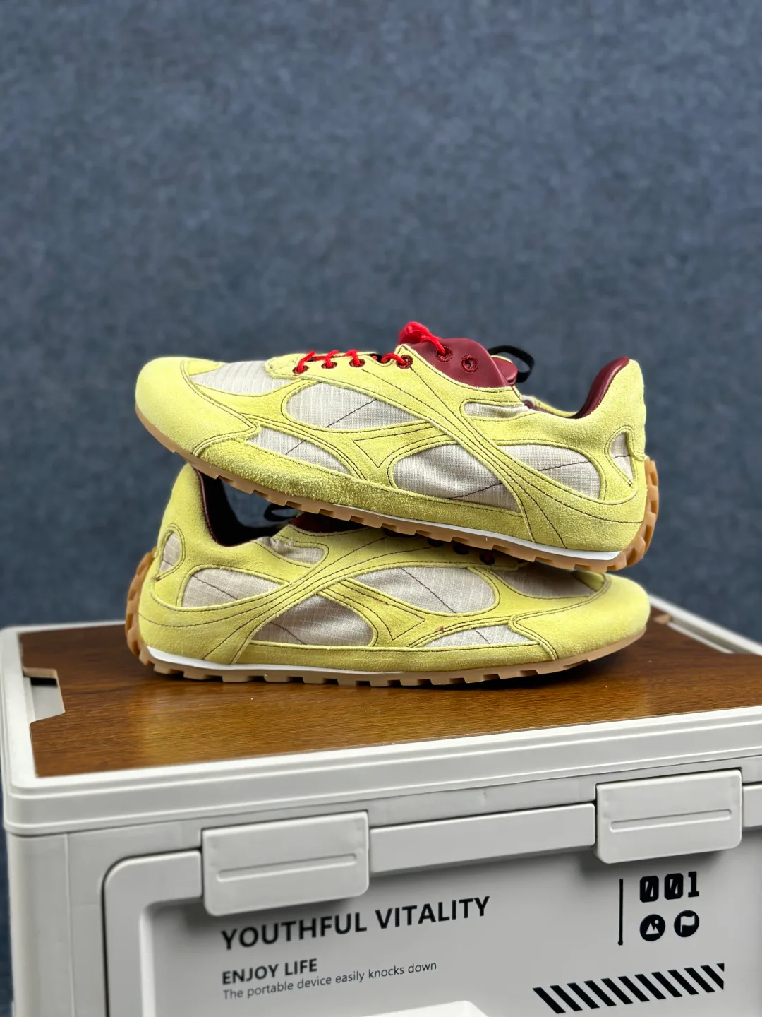 Кроссовки Женские Bottega Veneta 11490490