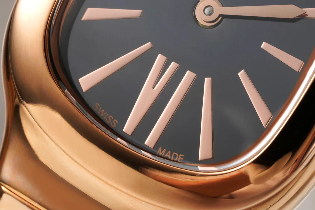 Часы Женские Bvlgari 11696051