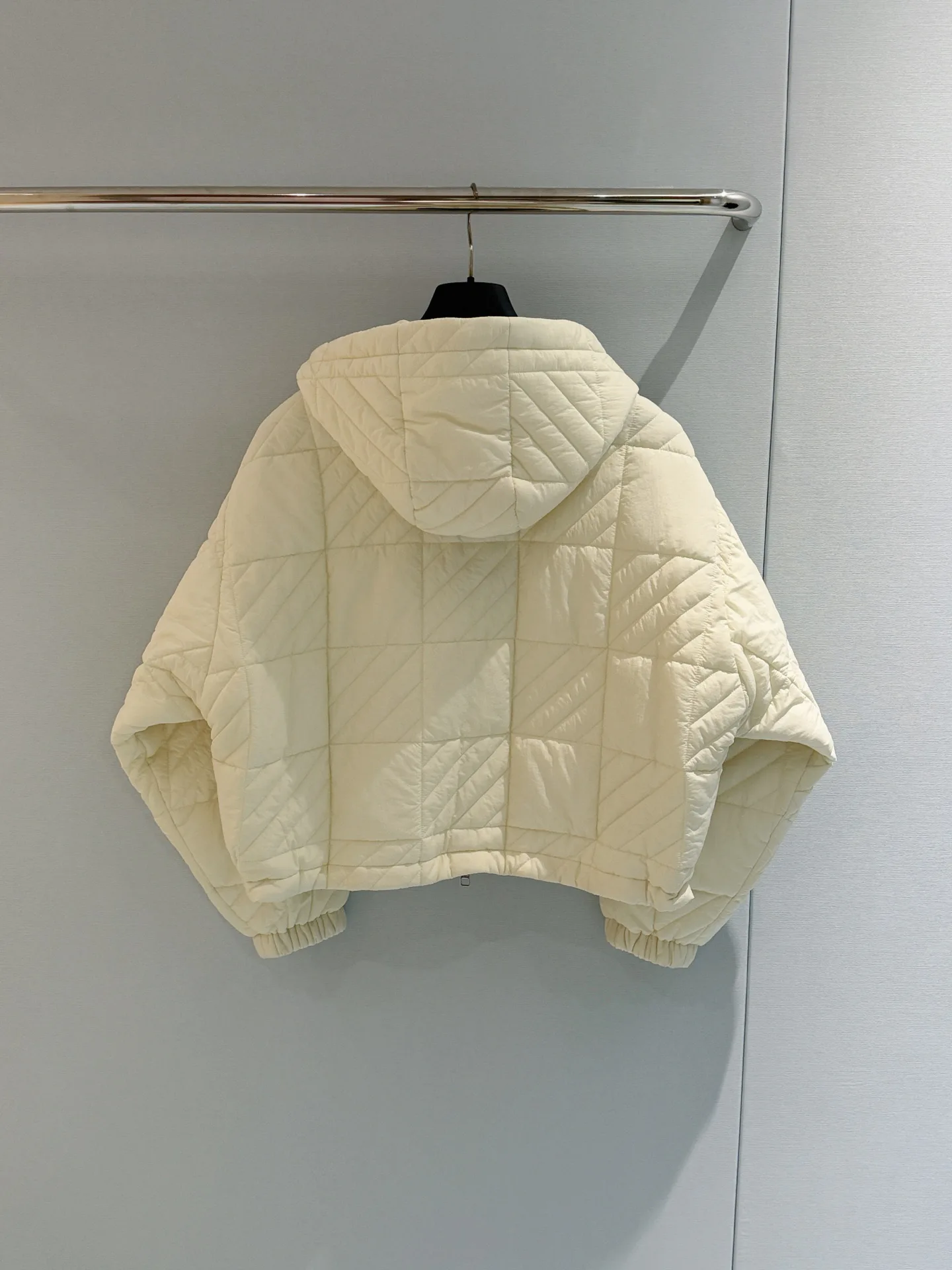 Куртки И Пуховики Женские Louis Vuitton 18953463