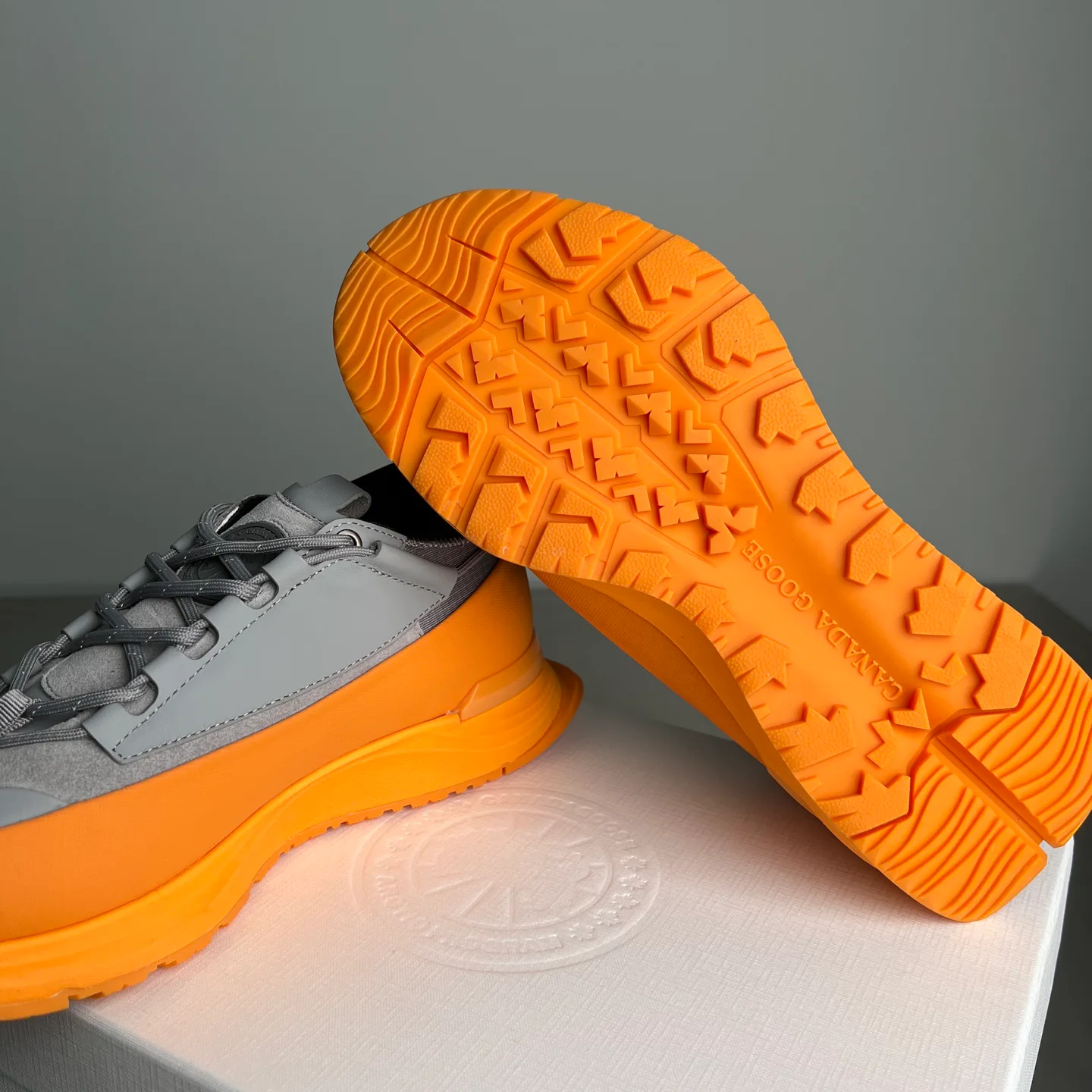 Кроссовки Мужские Canada Goose 25180