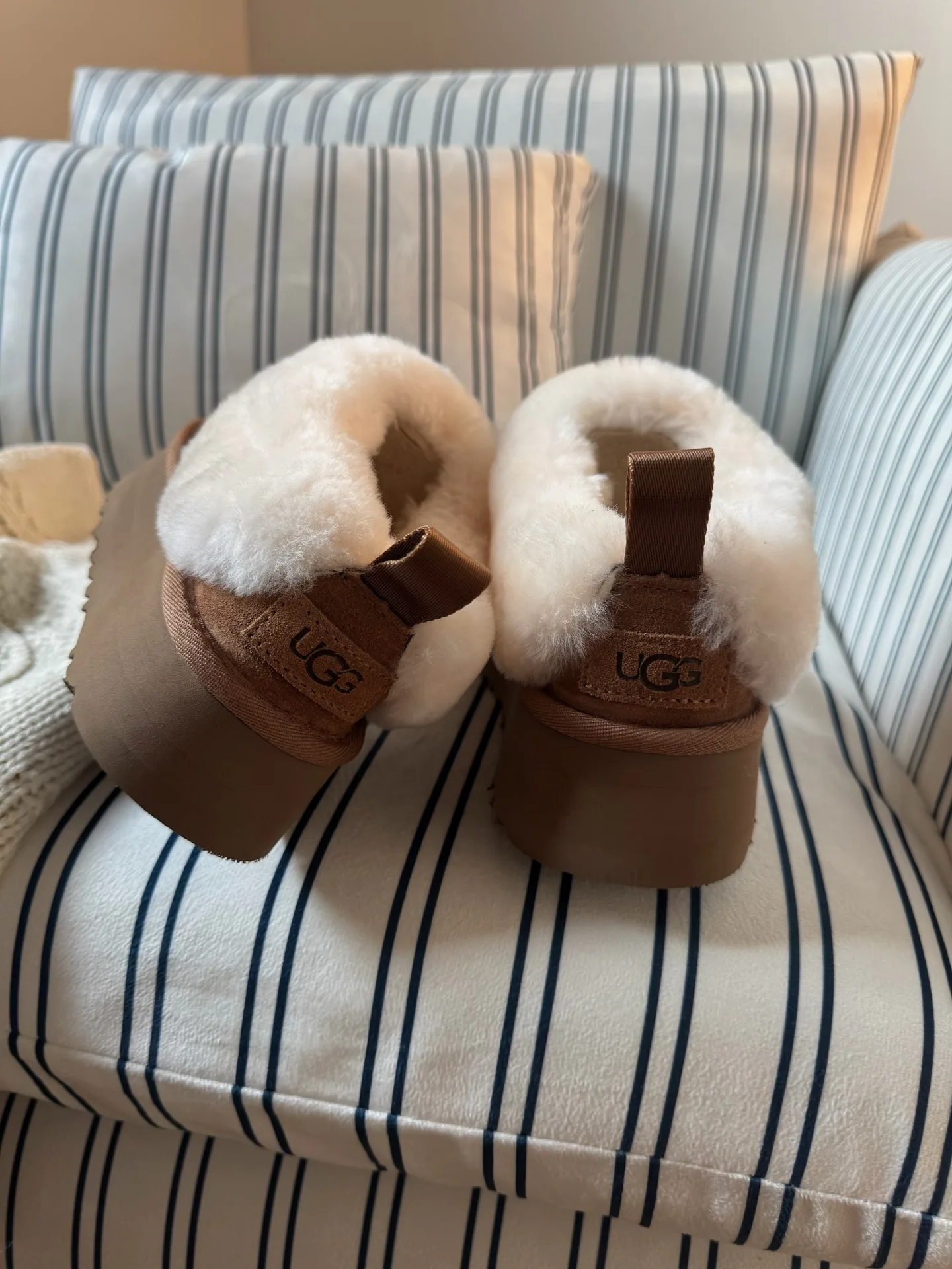 Угги Женские Ugg 196025