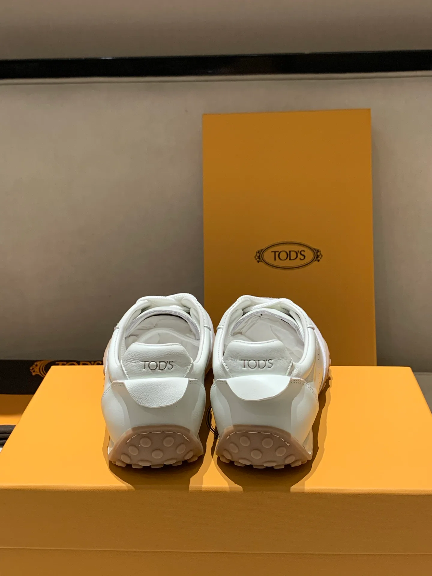 Кроссовки Женские Tod's 19240454