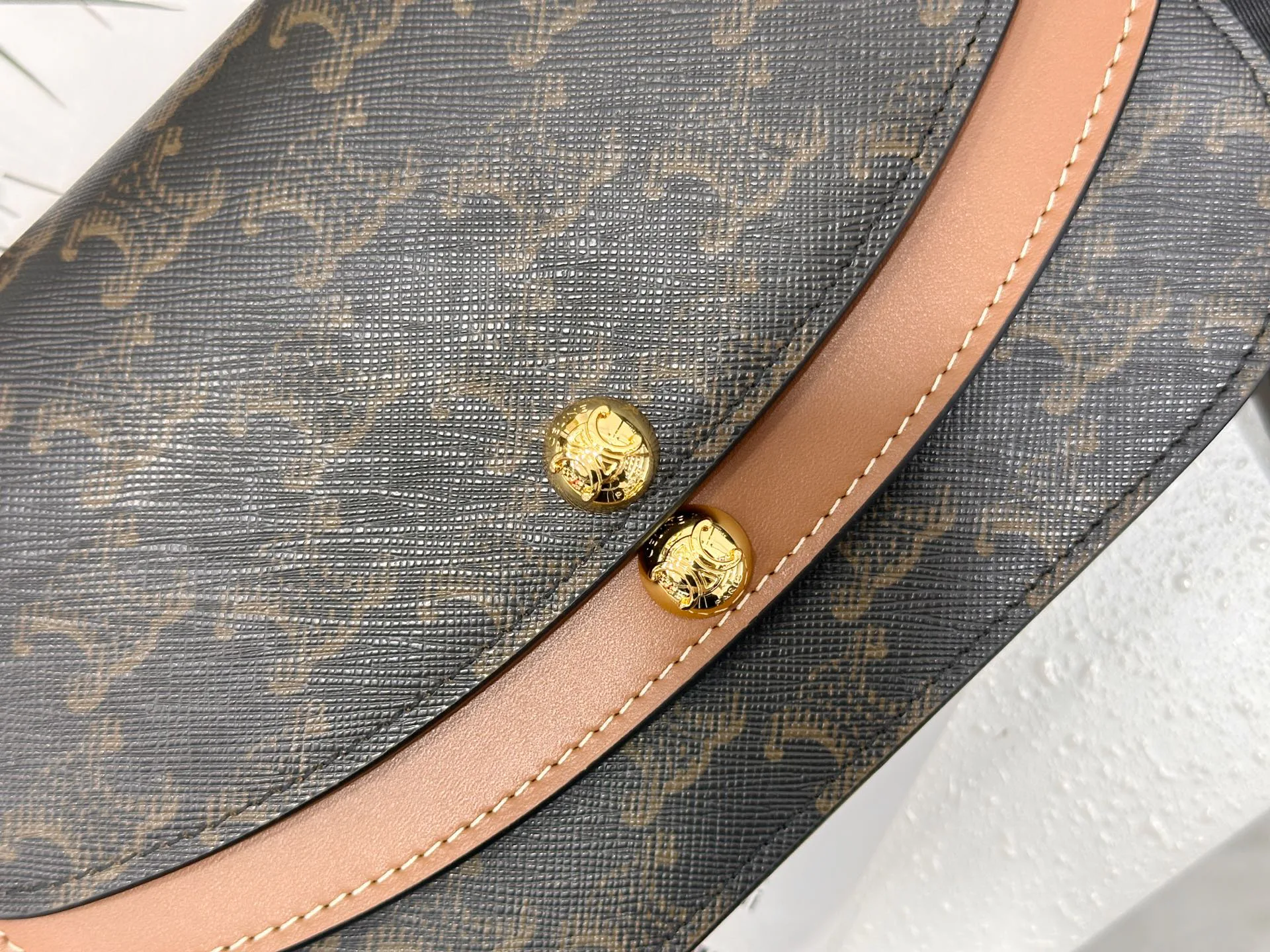 Сумки На Ремне Женские Celine 521798