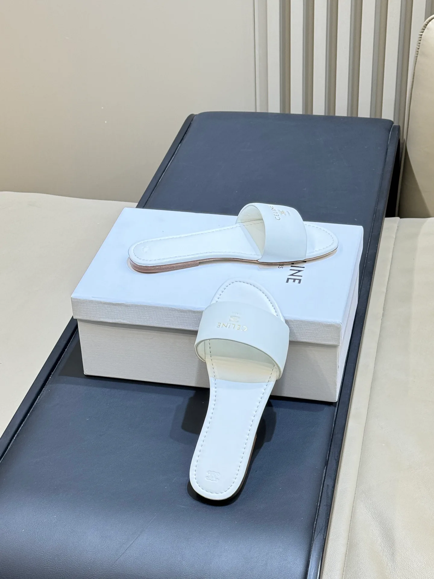 Шлепанцы Женские Celine 5024401