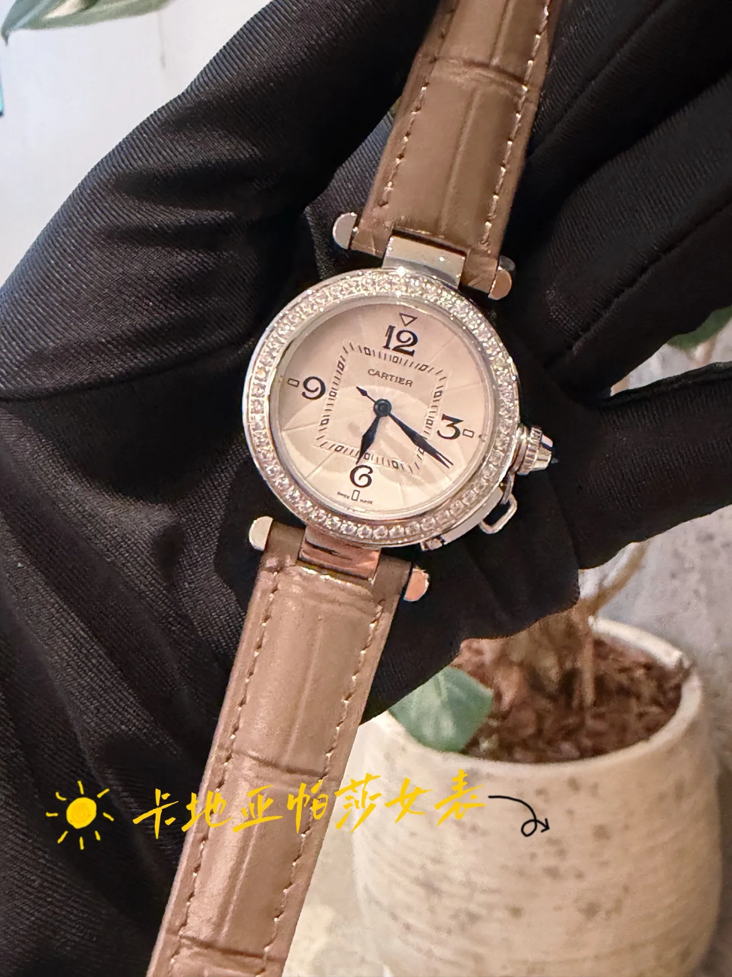 Часы Женские Cartier 16857719