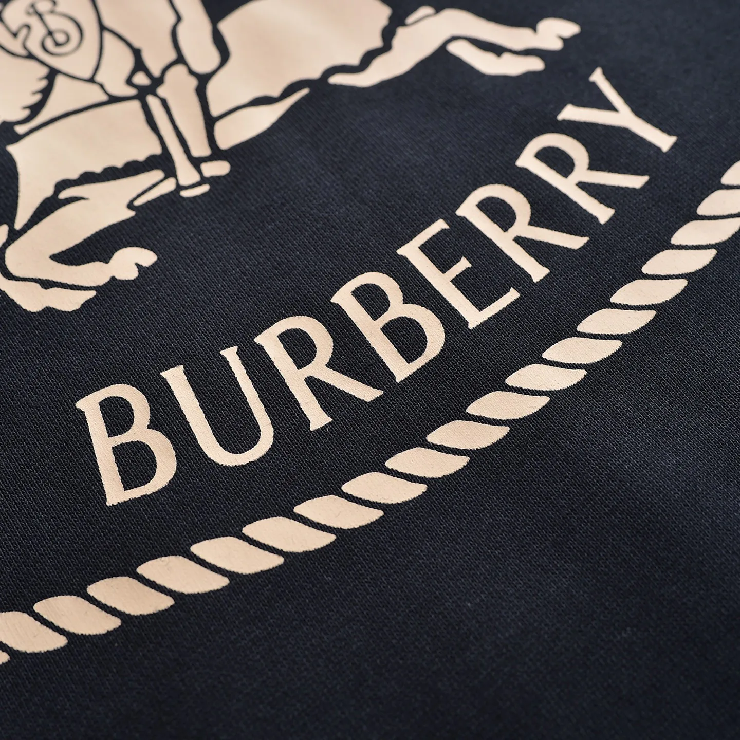 Свитшоты И Худи Мужские Burberry 19201631