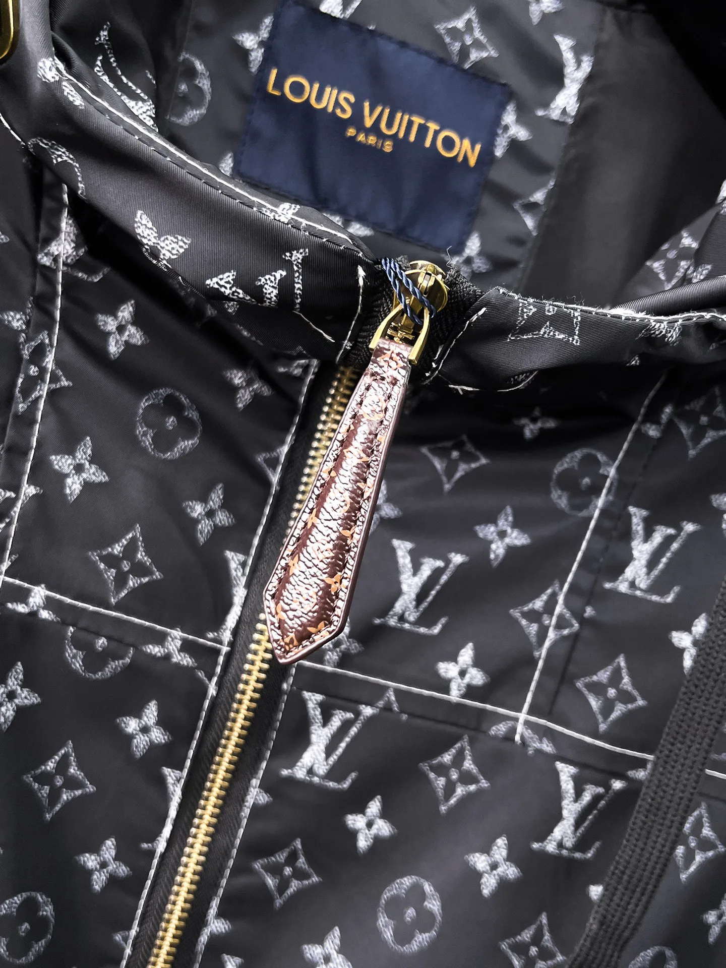 Куртки И Пуховики Мужские Louis Vuitton 18191461
