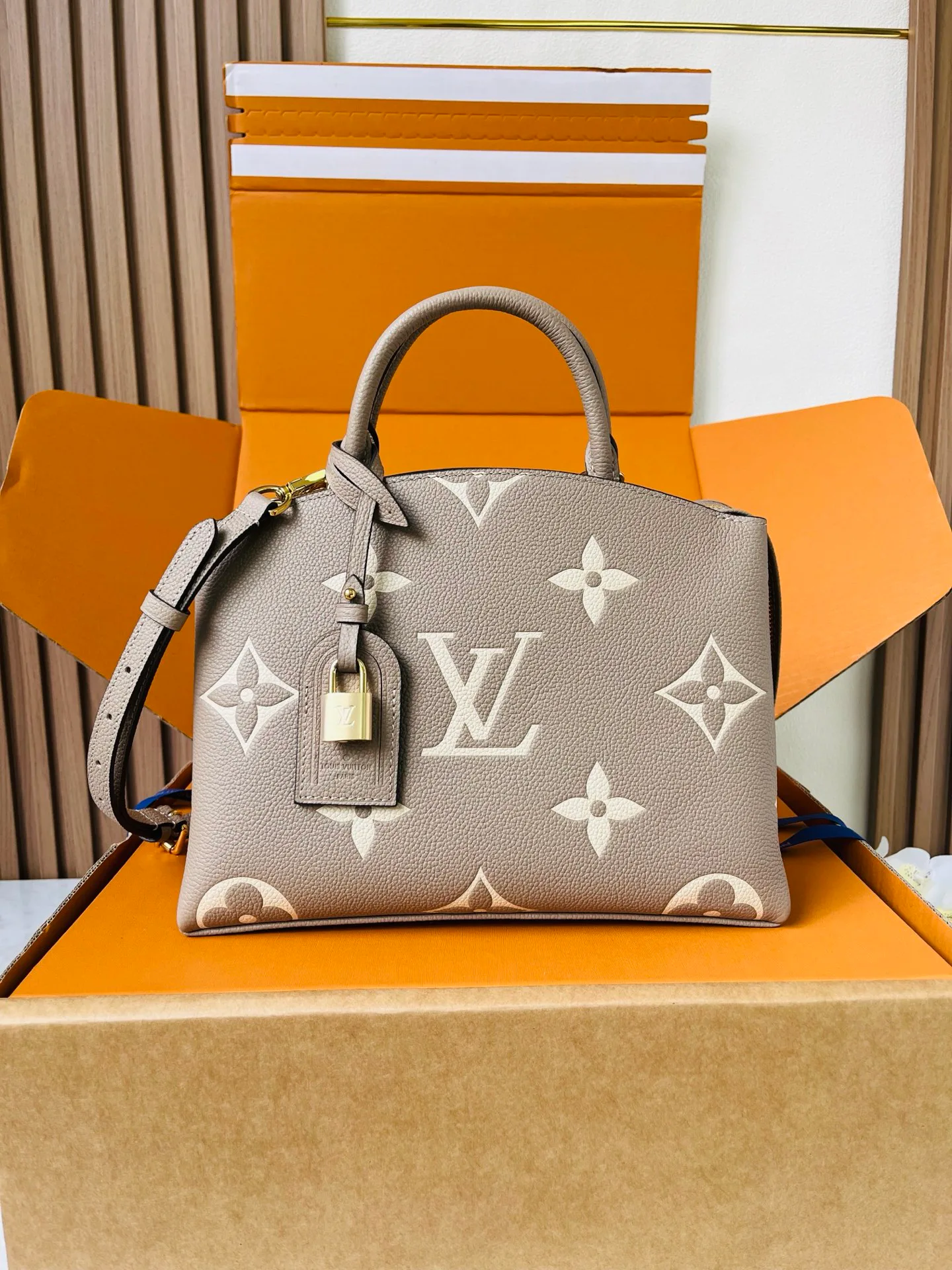 Классические Сумки Женские Louis Vuitton 12569317