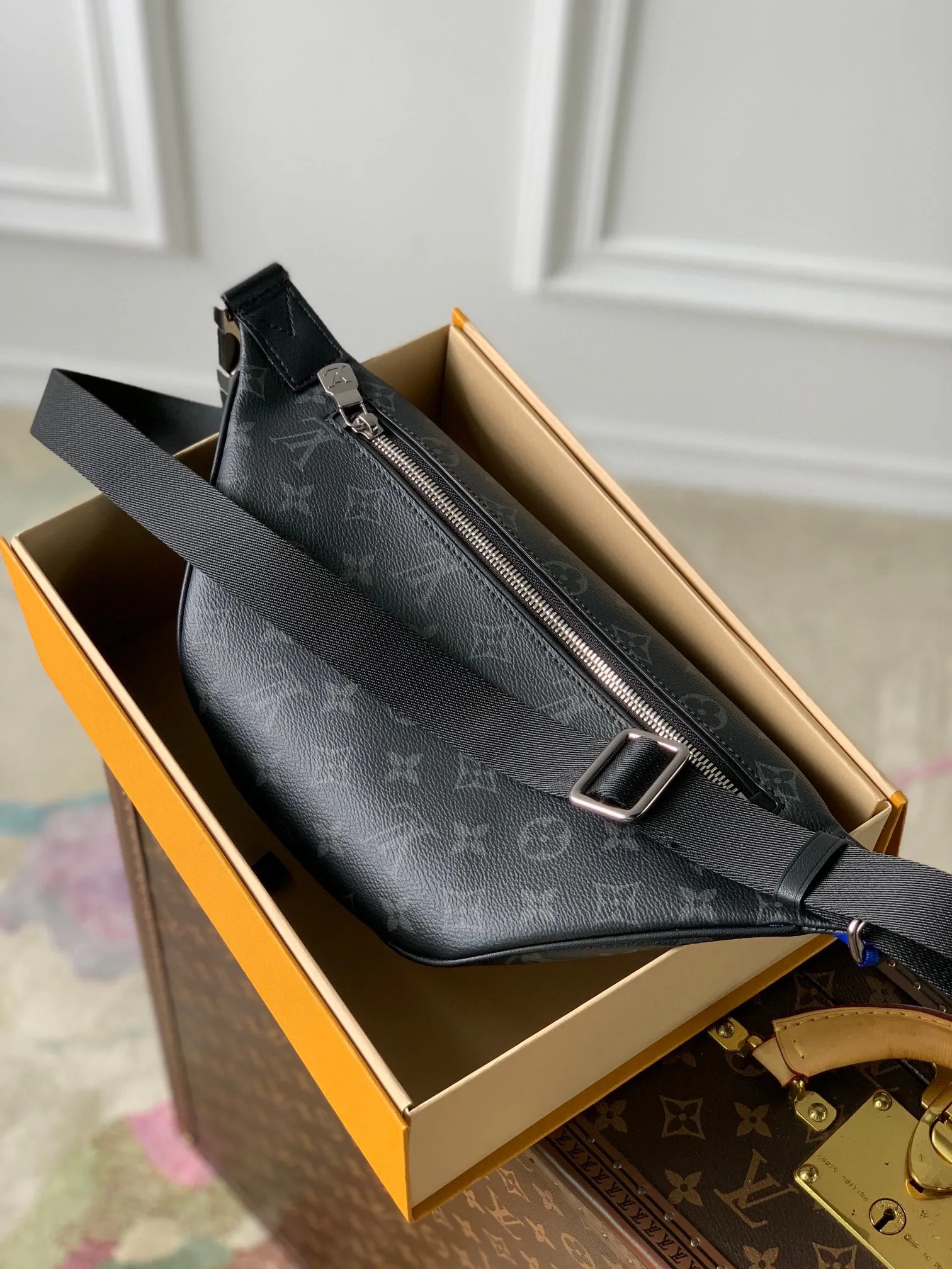 Поясные Сумки Женские Louis Vuitton 11598808