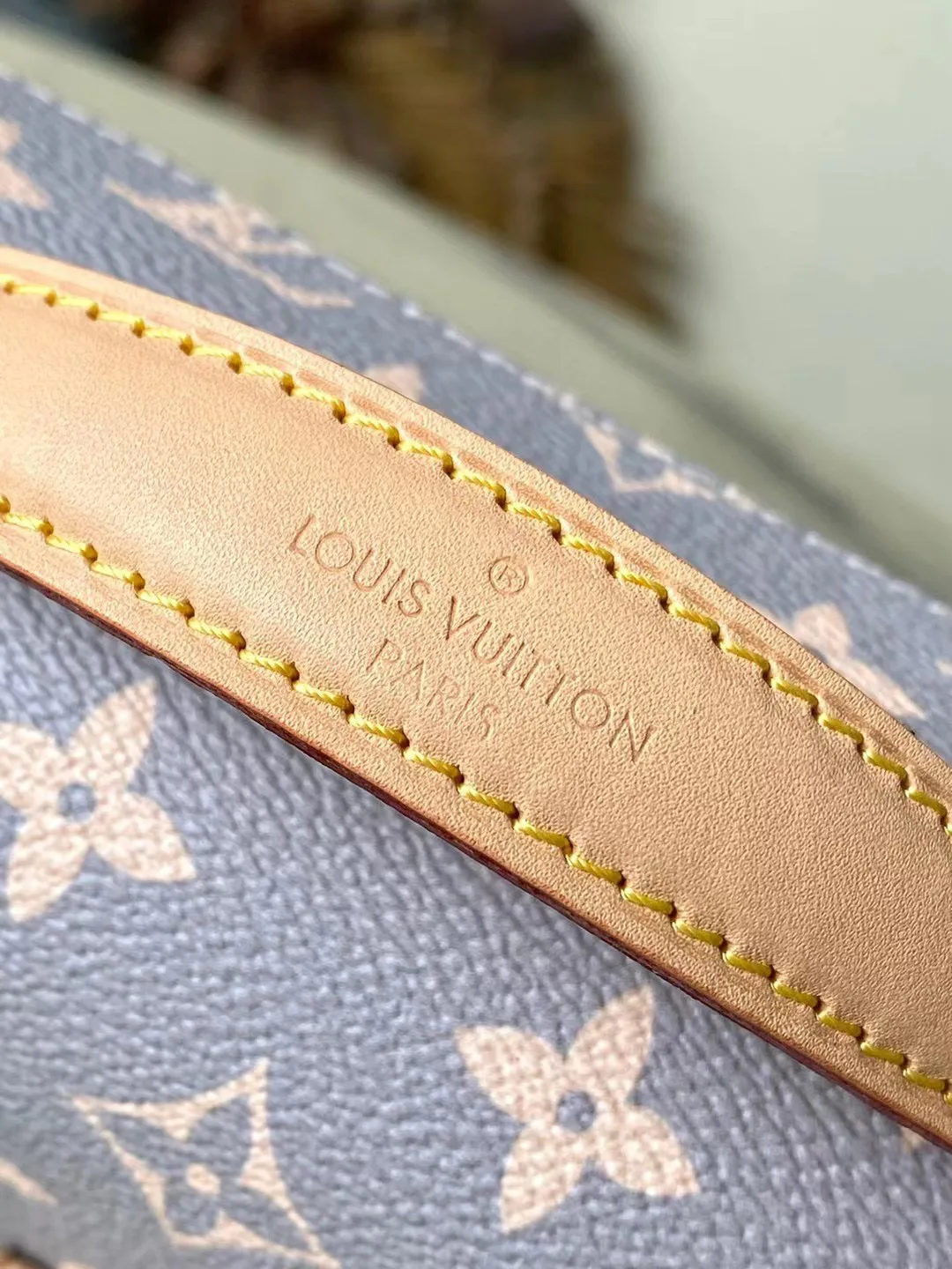 Классические Сумки Женские Louis Vuitton 18227605