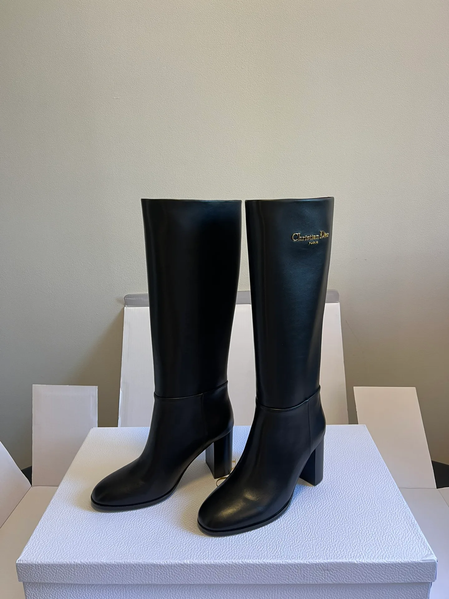 Сапоги Женские Christian Dior 18590091