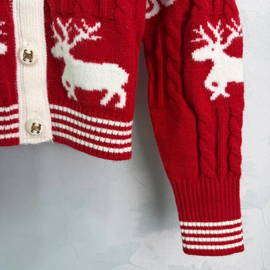 Джемперы И Свитеры Женские Celine 553329