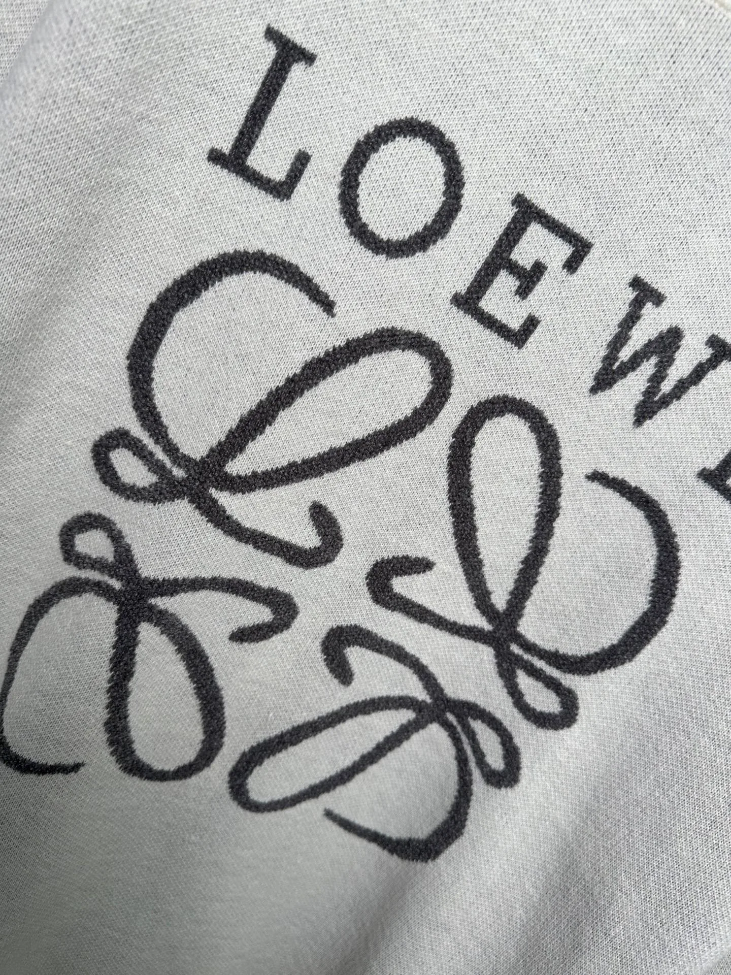 Куртки И Пуховики Мужские Loewe 235536