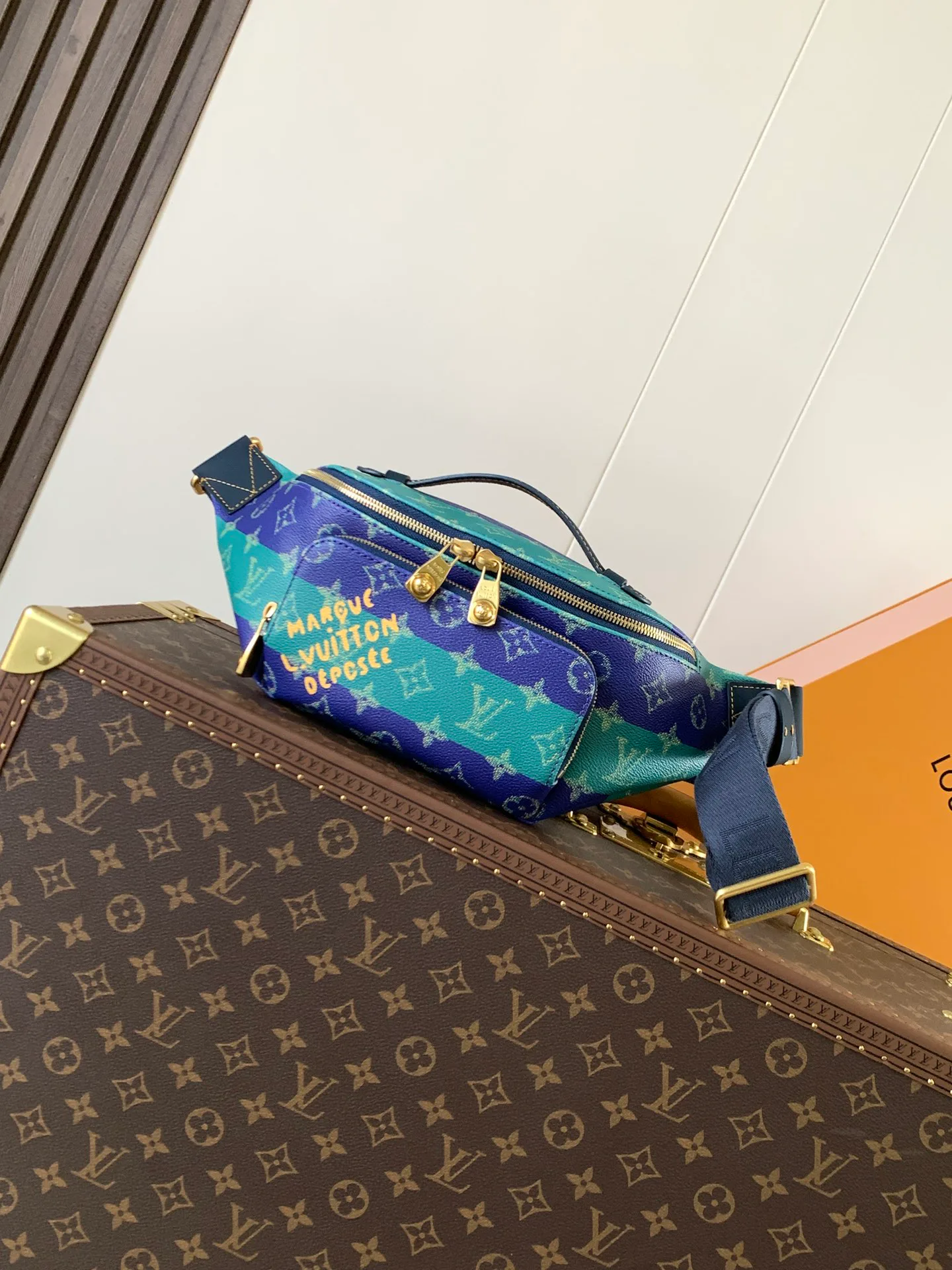 Поясные Сумки Женские Louis Vuitton 87419